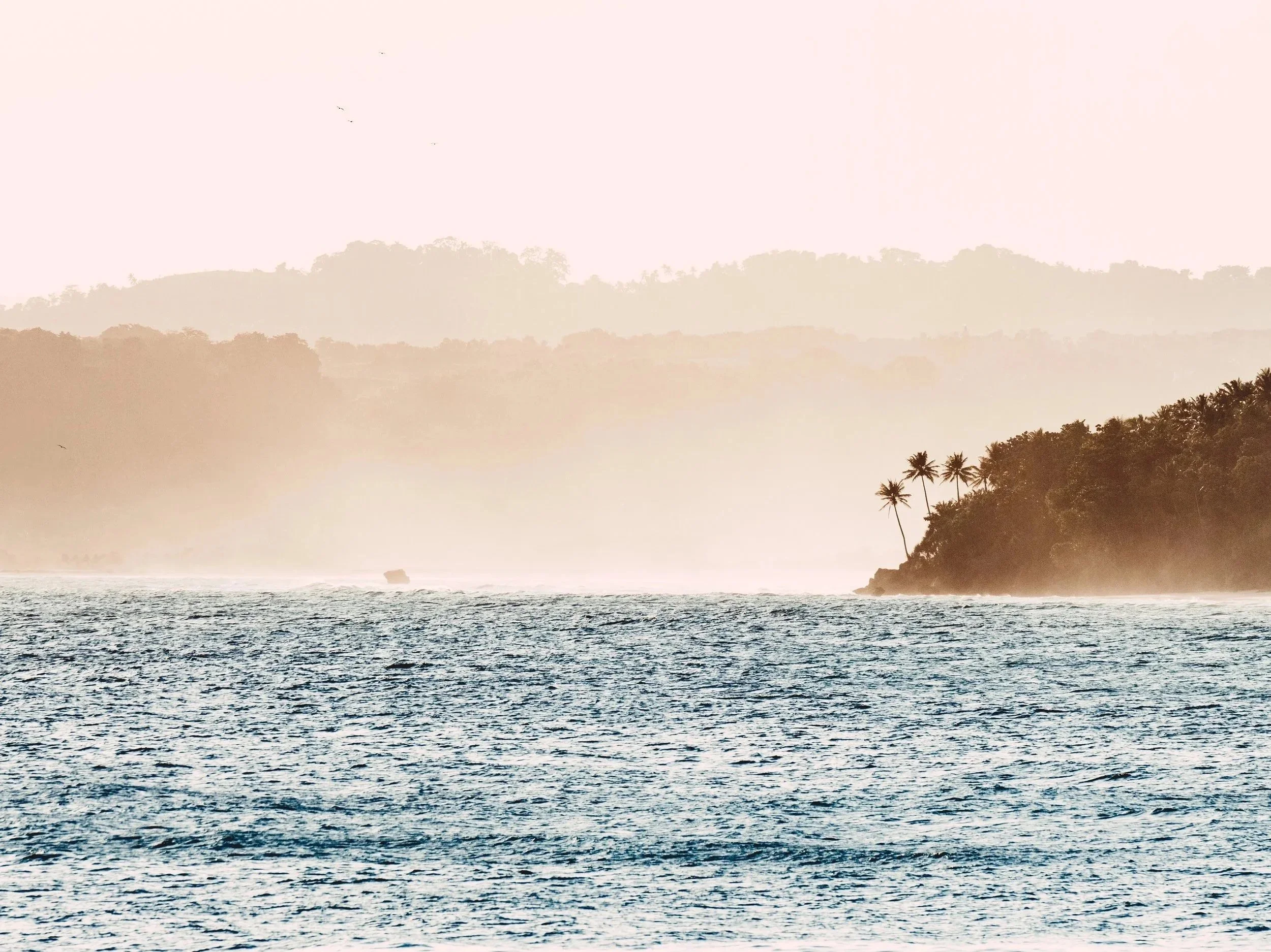 Tropical coastline with palm trees on rocky land, ocean waves in the foreground, misty hills in the background, and a pinkish sky.