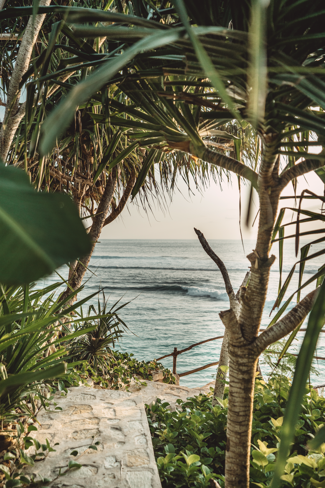 A view of the ocean through tropical trees and plants at sunset, with waves visible and a stone pathway in the foreground.