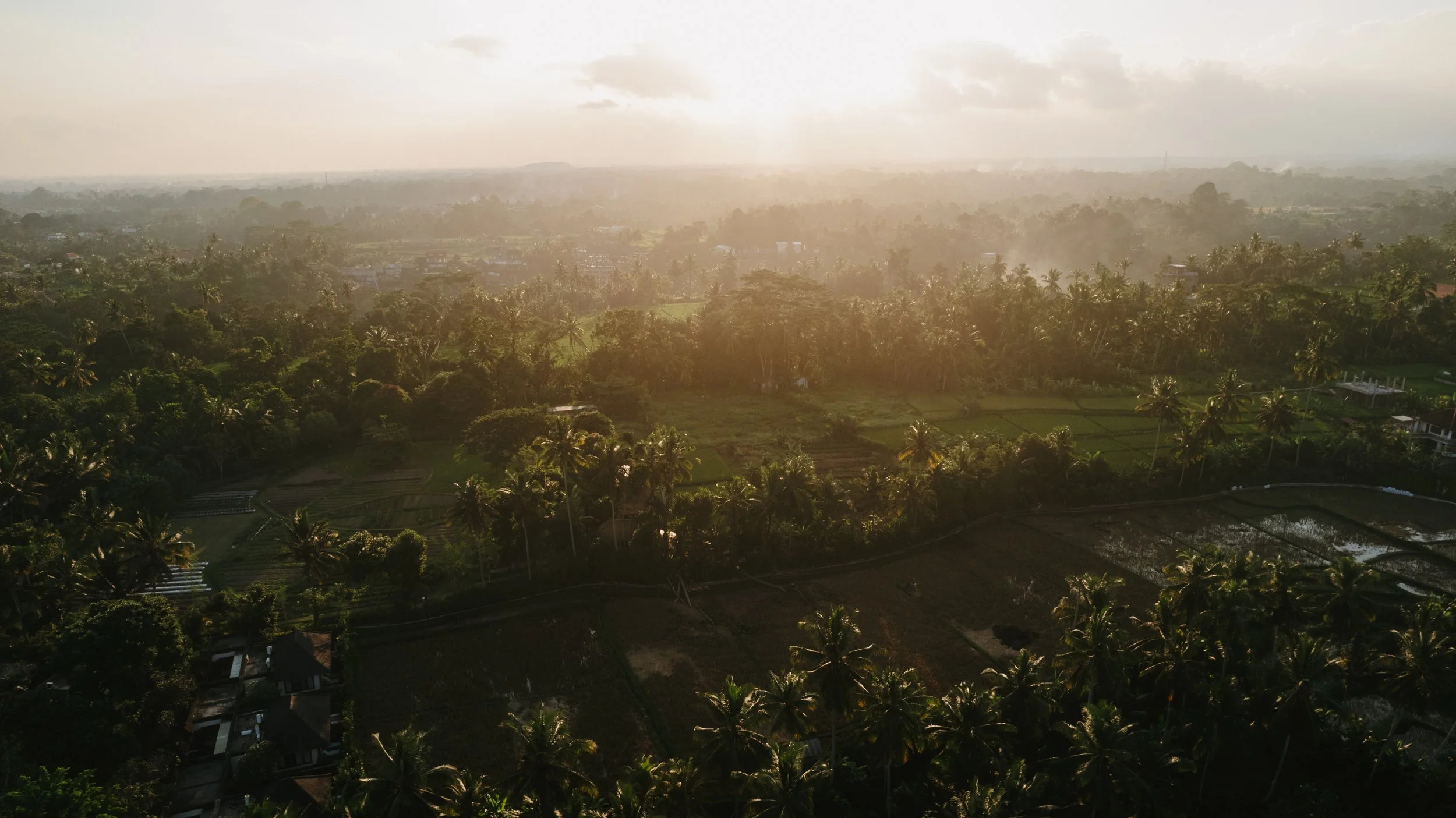 A landscape view of lush green fields, numerous palm trees, and distant hills with the sun shining through clouds.