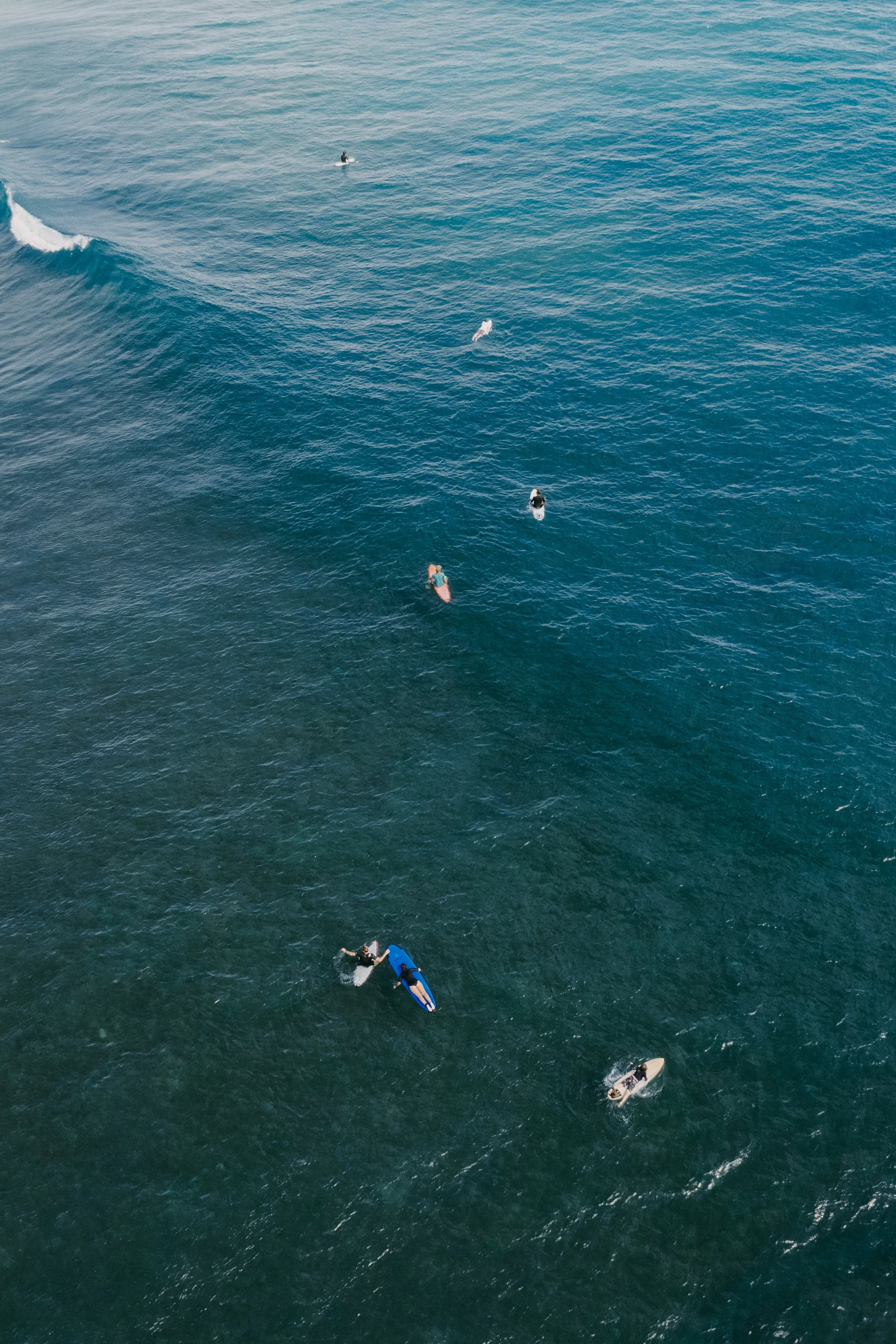 Aerial view of surfers and paddleboarders in the ocean, some riding waves and others floating or paddling.