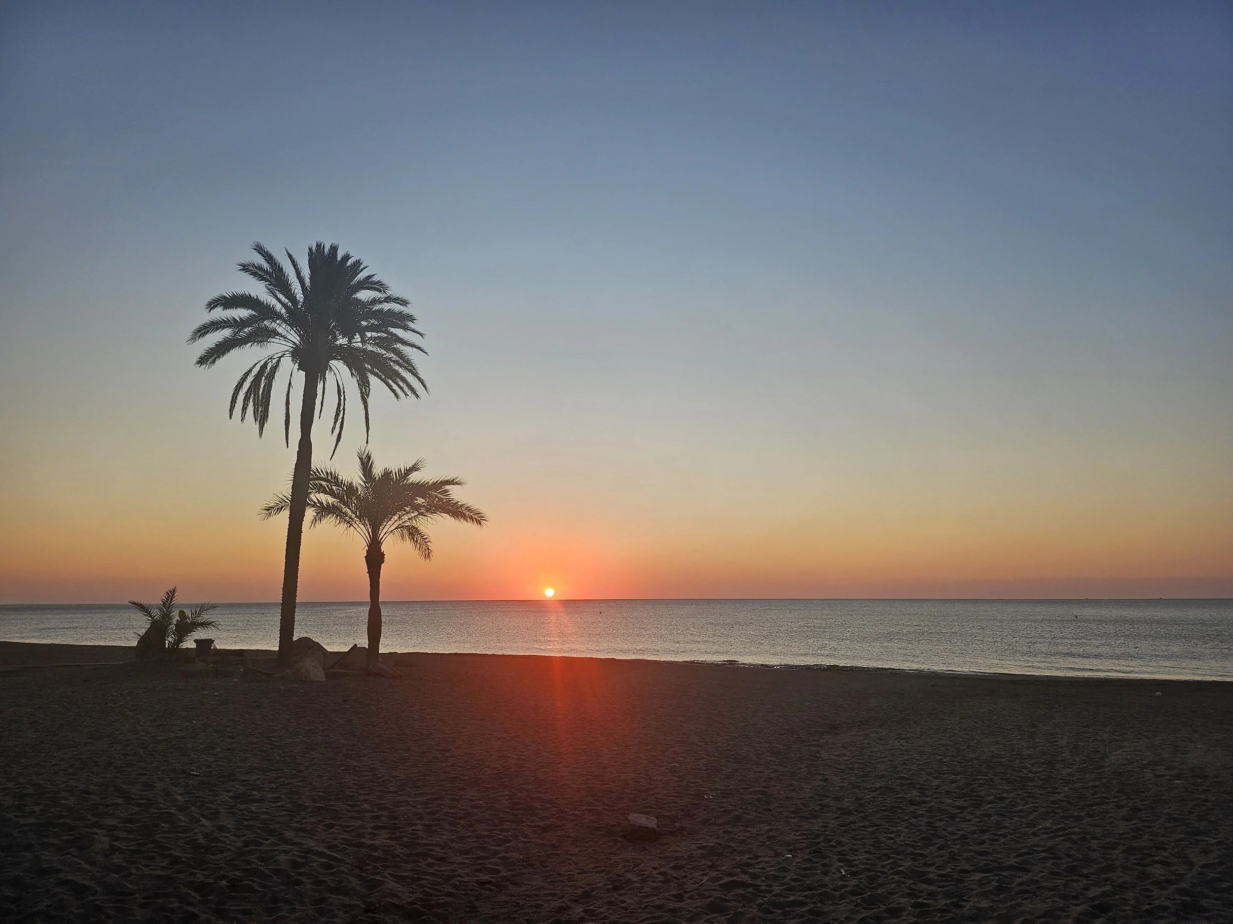 Sunset over the ocean with two palm trees on a sandy beach