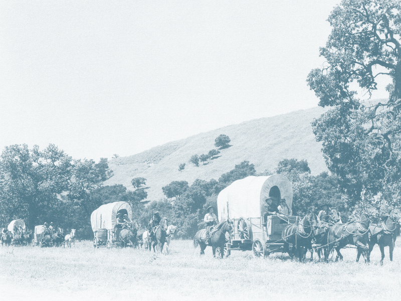 A line of covered wagons being pulled by horses in a rural landscape with rolling hills and trees.