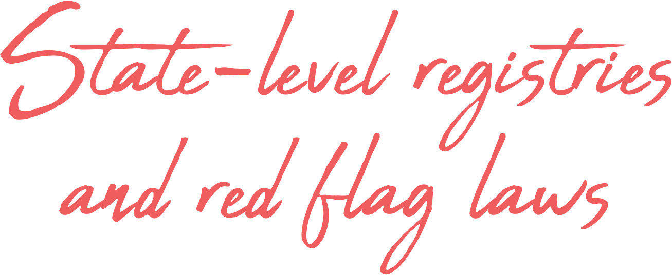 Text graphic with pink handwritten style font that reads 'State-level registries and red flag laws'.