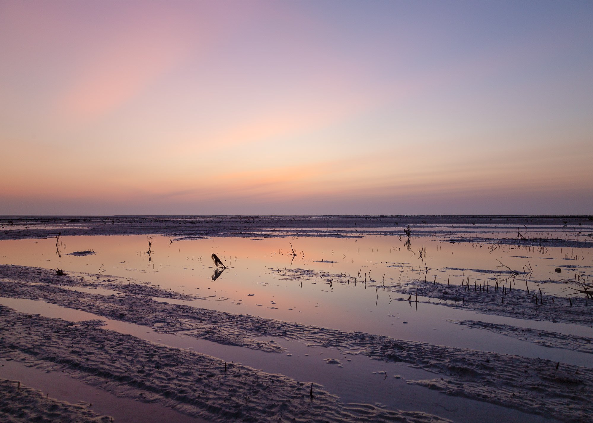 A tranquil beach scene at sunset with pastel pink and purple sky, reflecting calm water, and sandy shoreline with tire tracks and scattered driftwood.