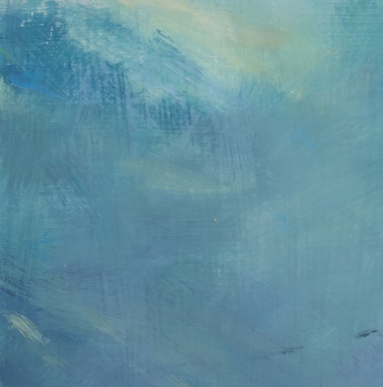 Calm-closeup.jpg