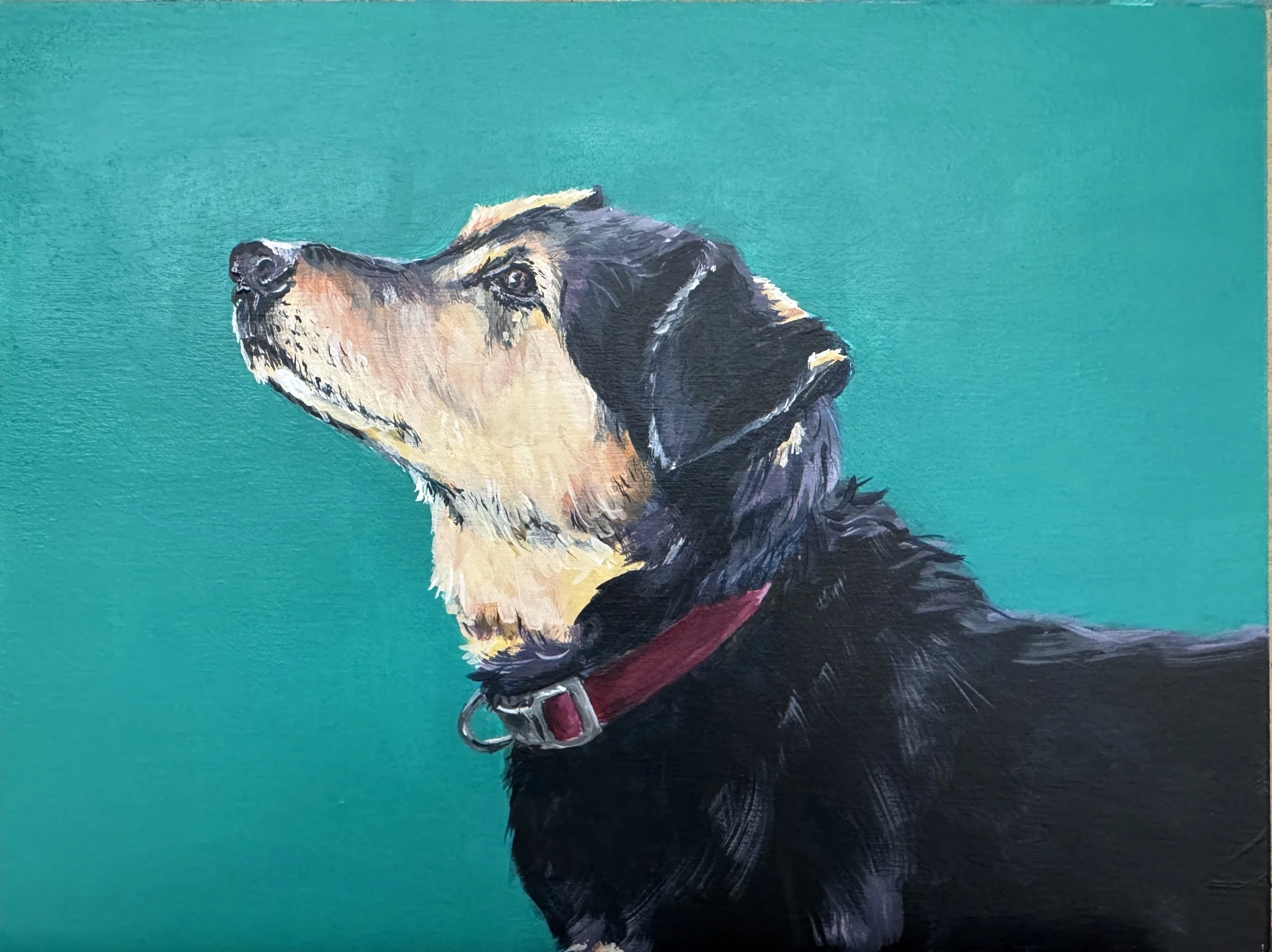 Pika, an older dog but young at heart.