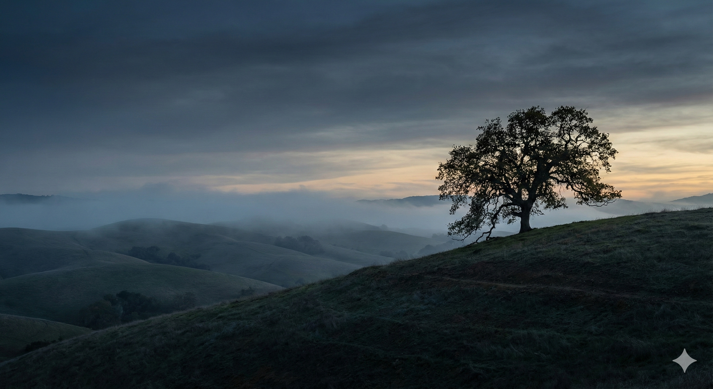 Cider Hill Consulting