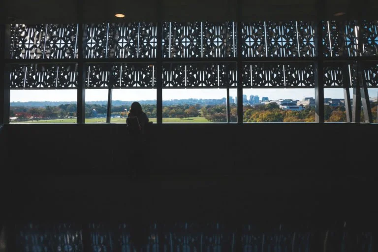 Person standing inside a building looking out a large window with decorative lattice design, showing a distant landscape of trees and buildings.