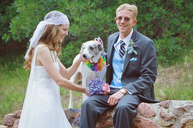 A bride and groom sitting by a stone wall outdoors, with a dog wearing a rainbow lei and pink sunglasses in the background.