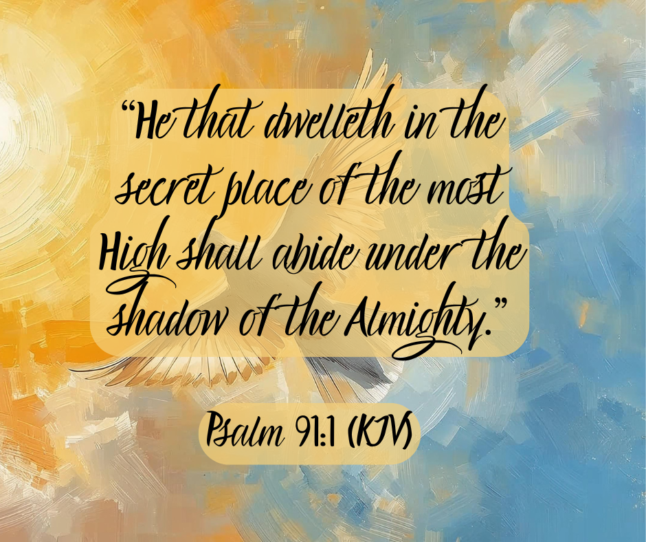 ShelterMostHigh (text).png