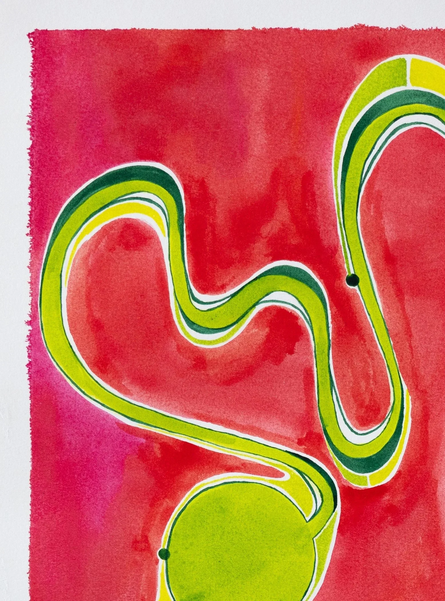 Watermelon+Sqiggles+Large.jpg