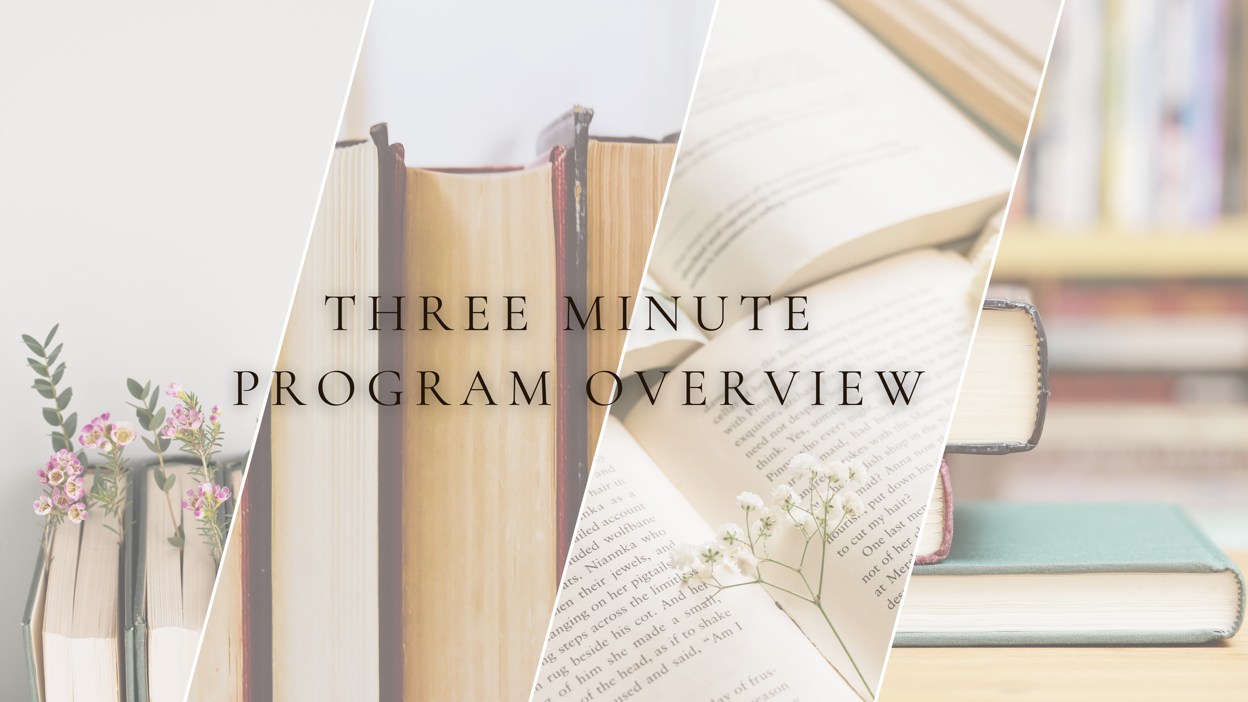 Three Minute Program Overview.png