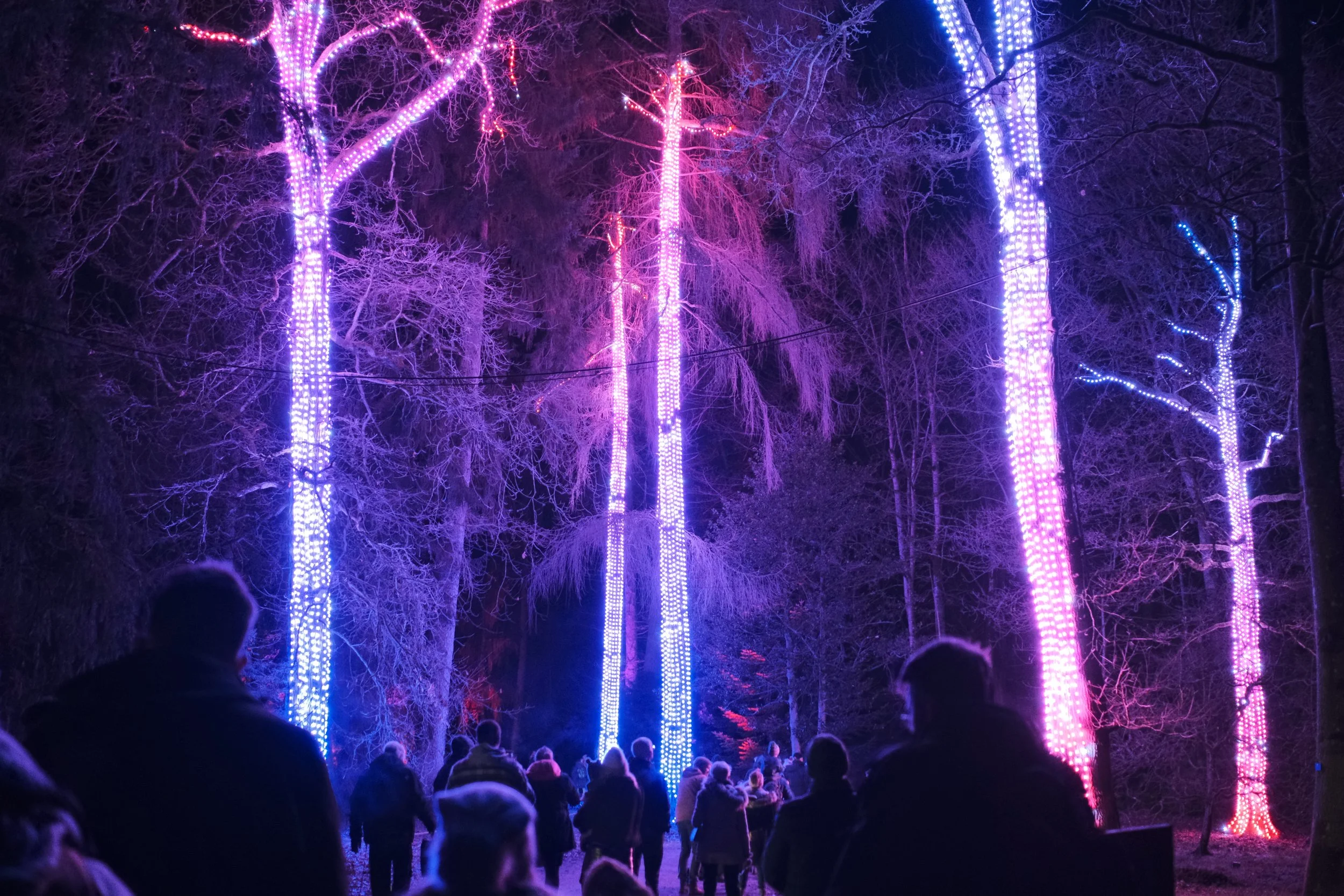 Christmas at Westonbirt