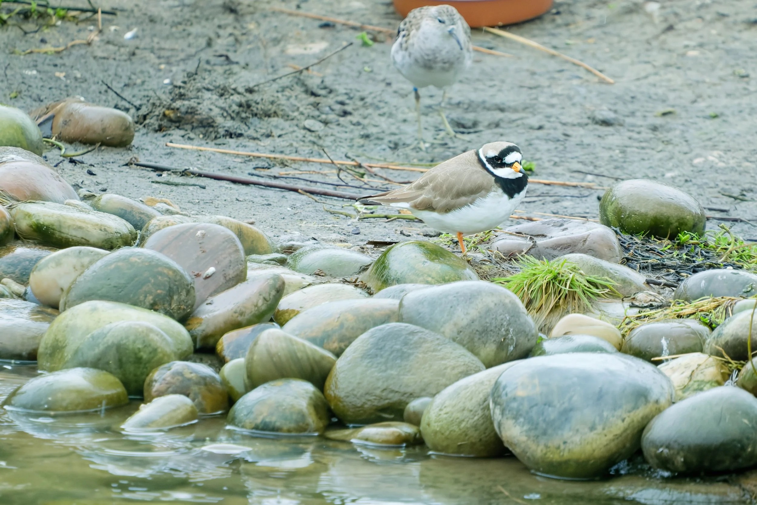 DSCF8452_DxO Edited.jpg