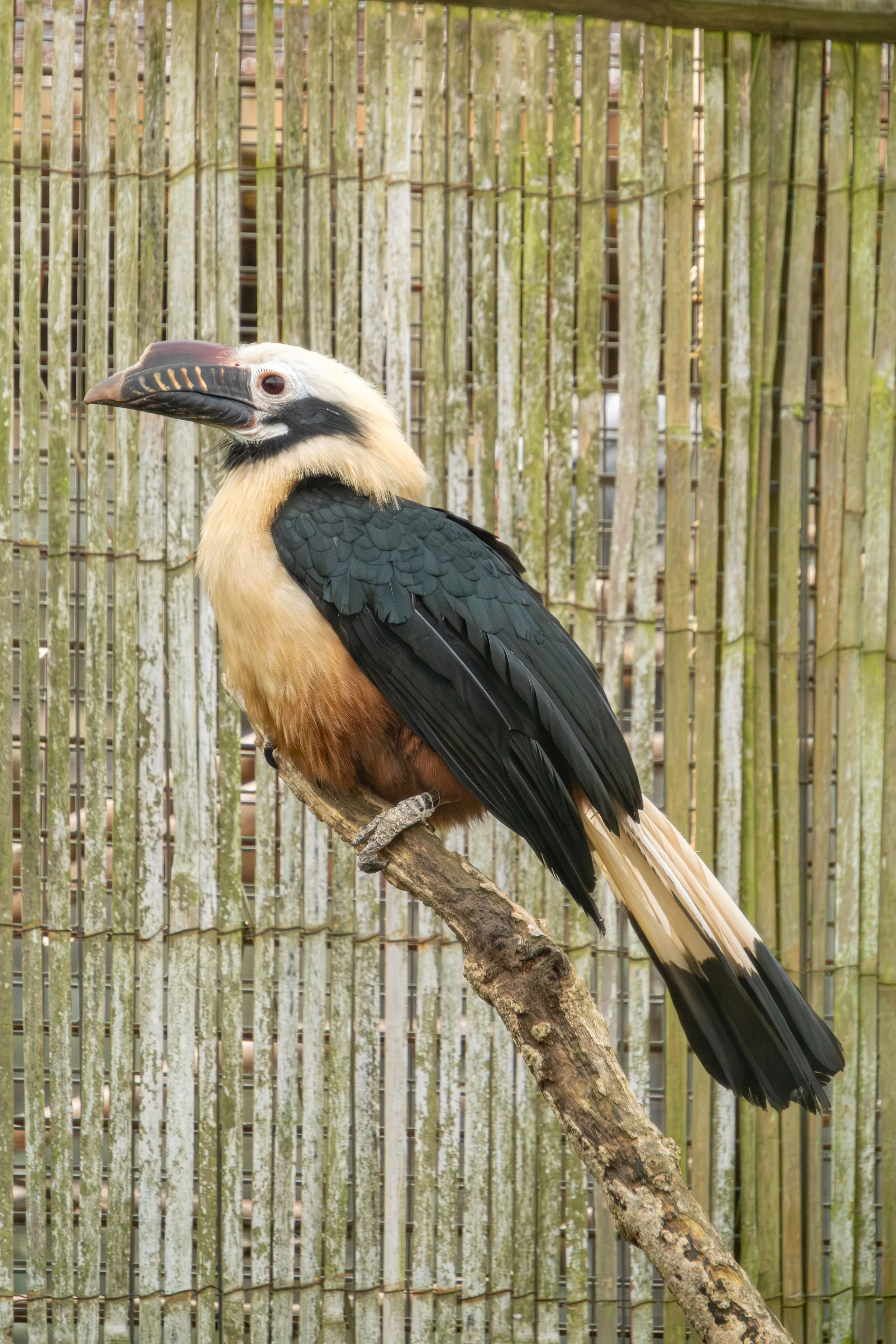 DSCF8813%20Edited Edited.jpg