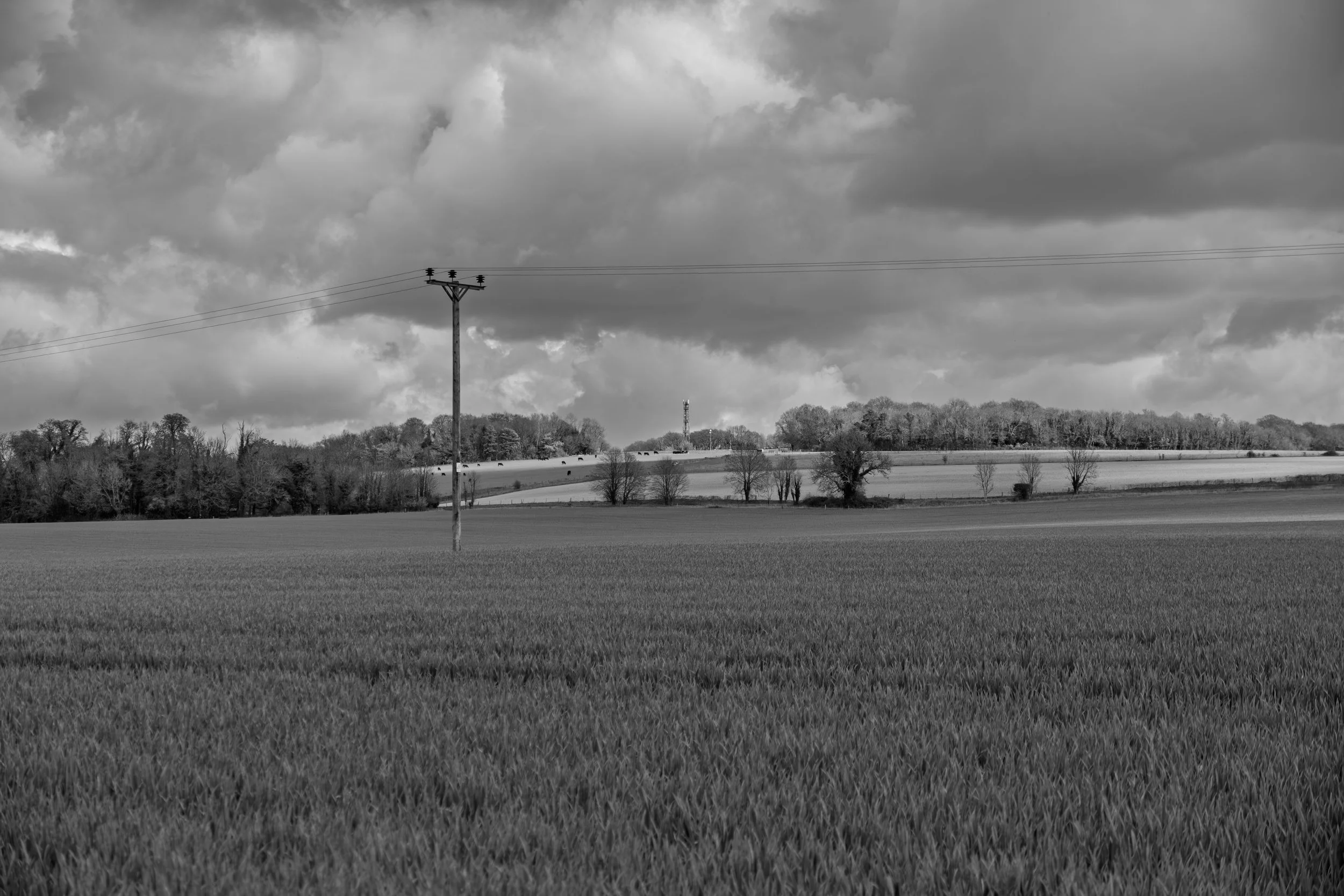 DSCF9901.jpg