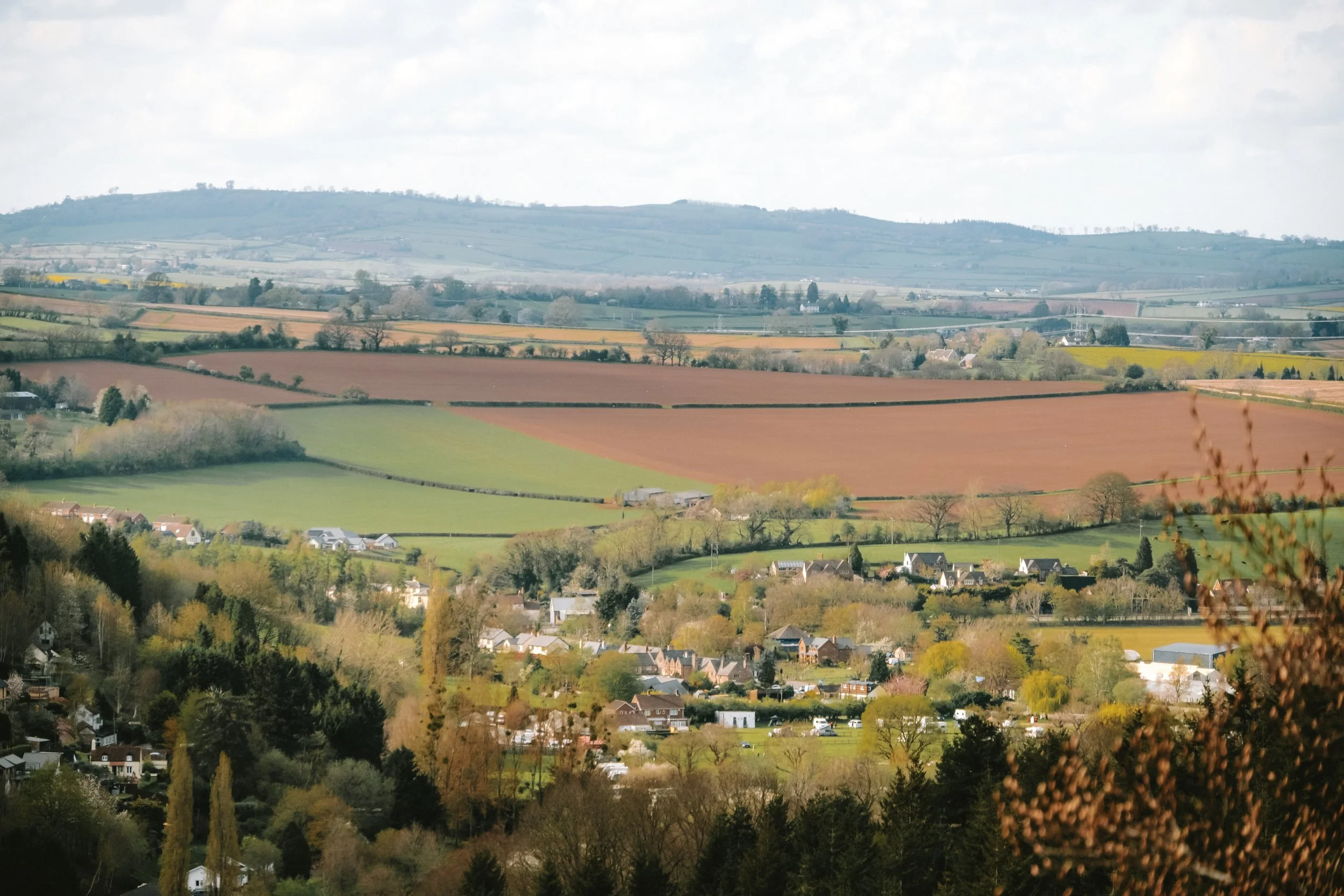 DSCF0010.jpg