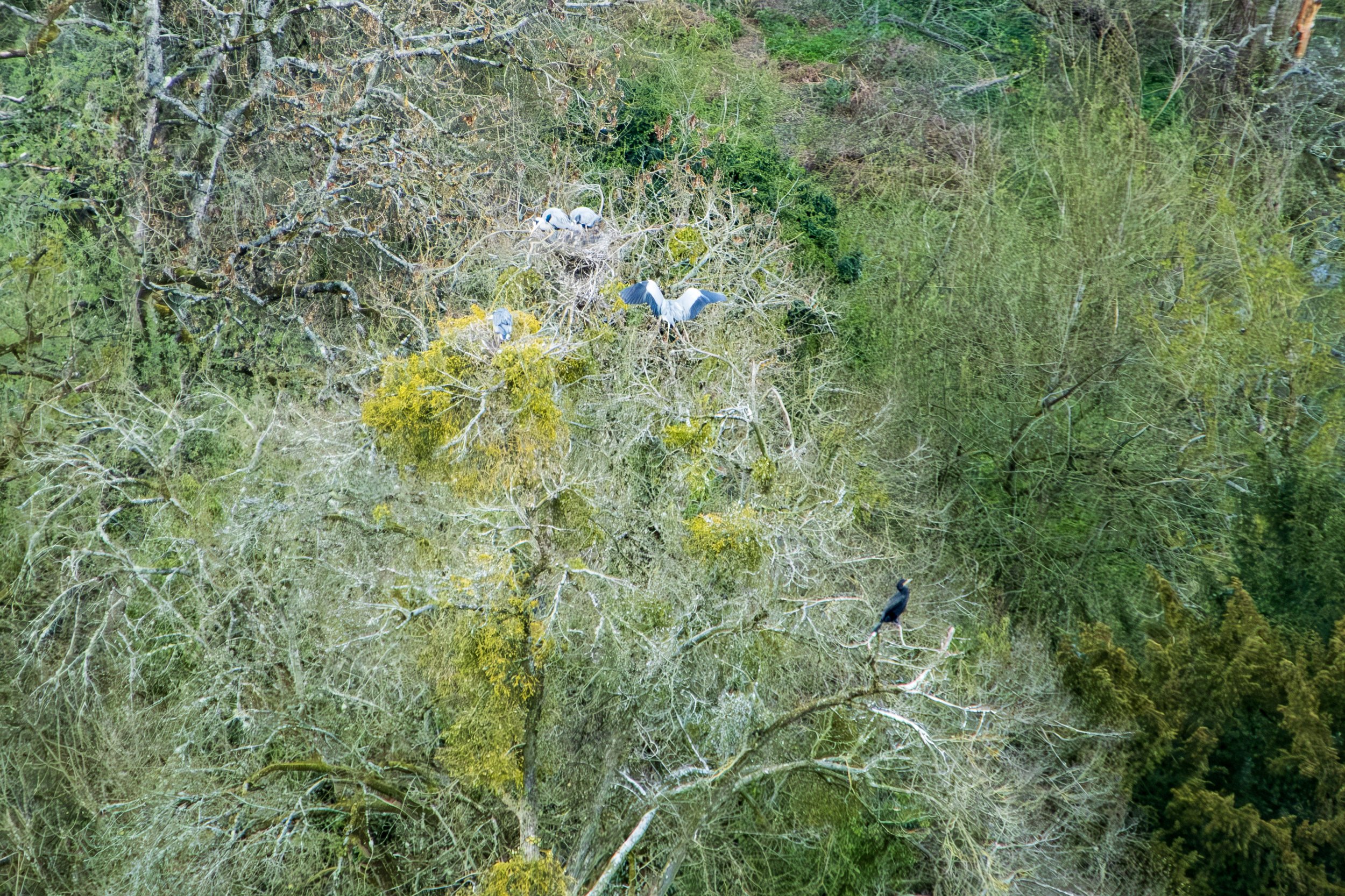DSCF0132.jpg