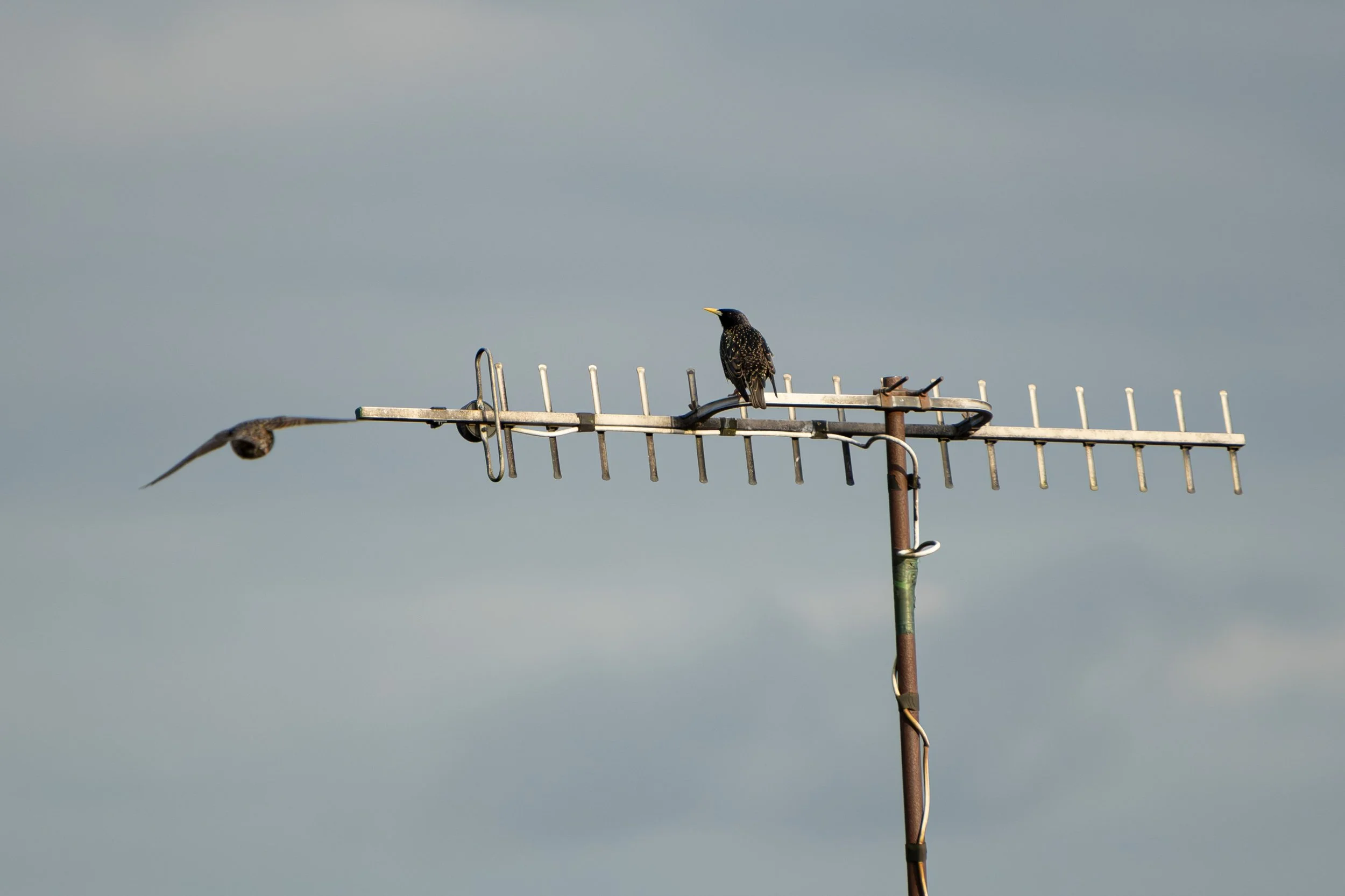 DSCF0566.jpg