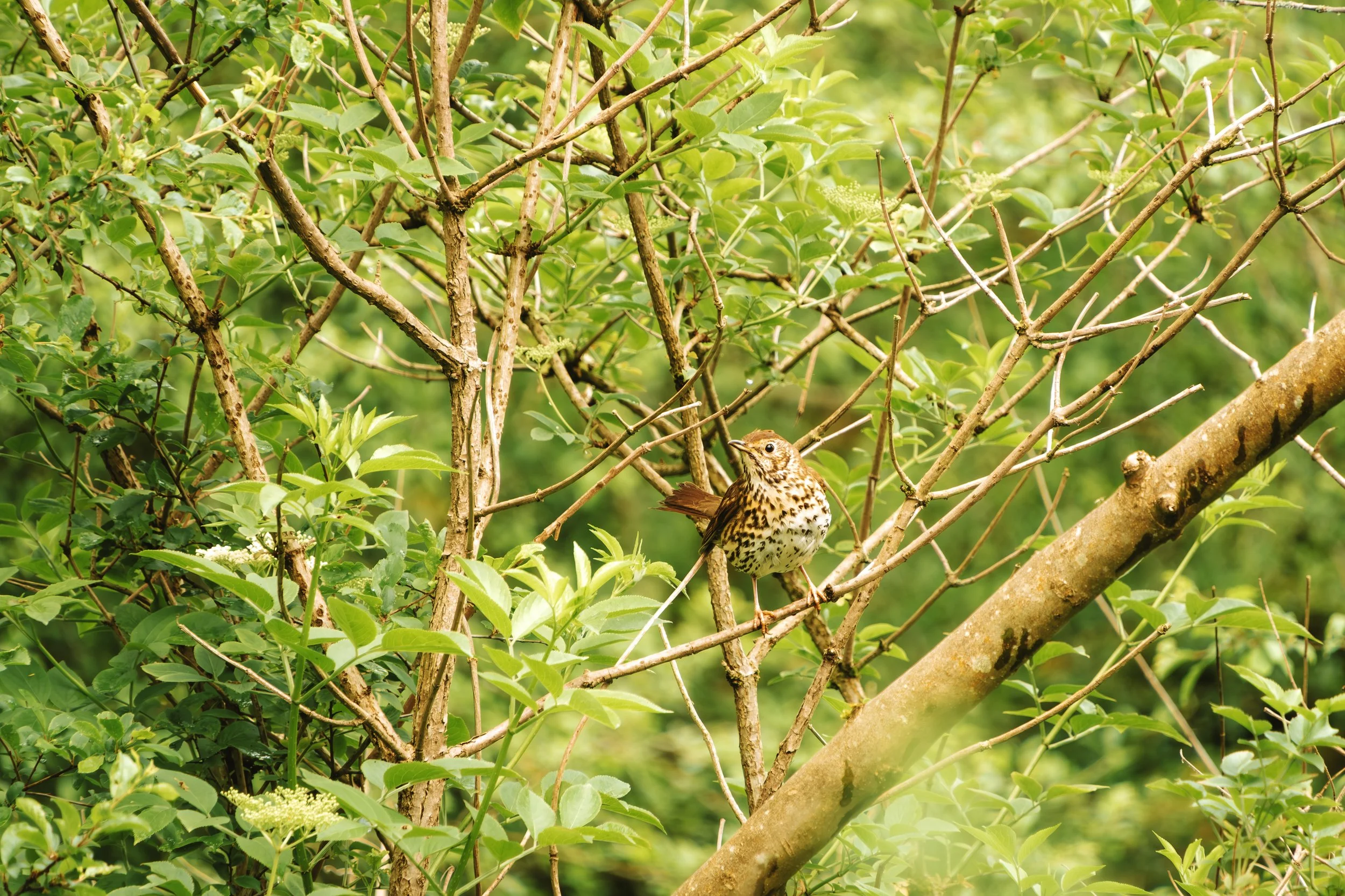 DSCF0849.jpg