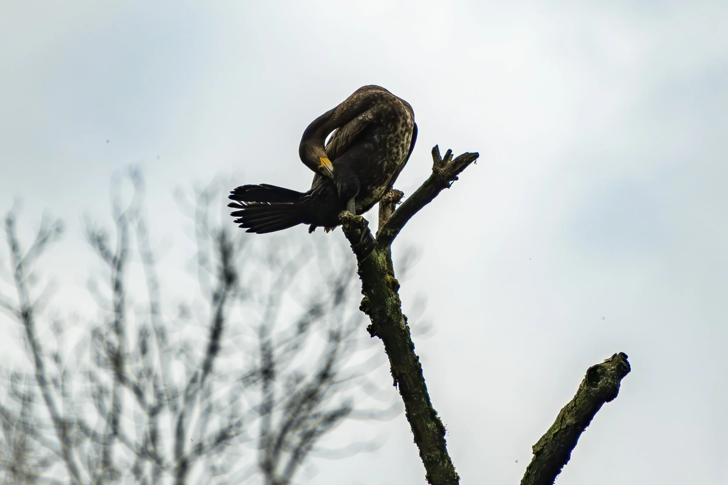 DSCF0743.jpg
