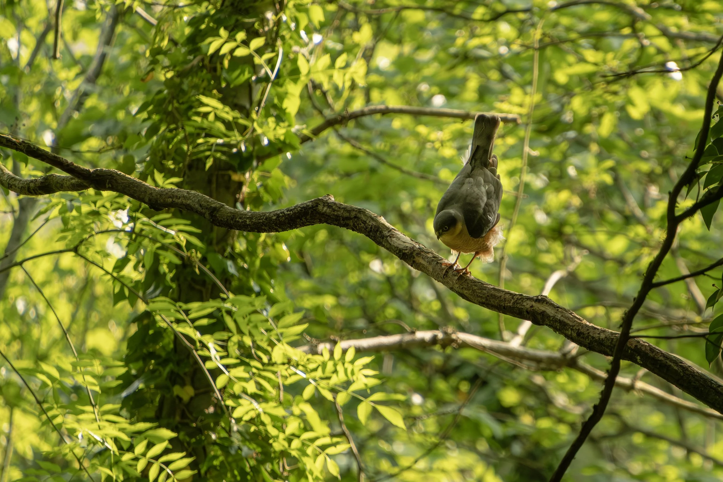 DSCF0891.jpg