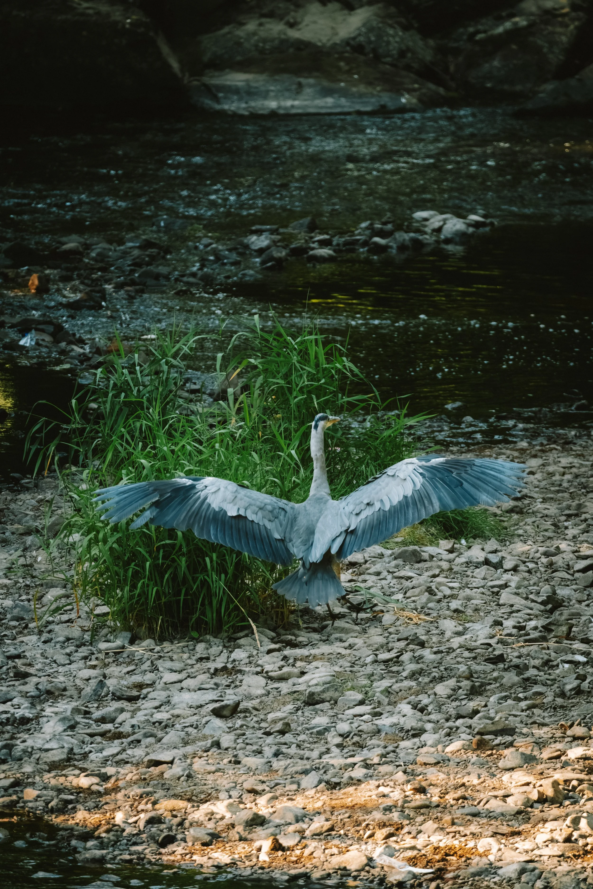 DSCF2847.jpg