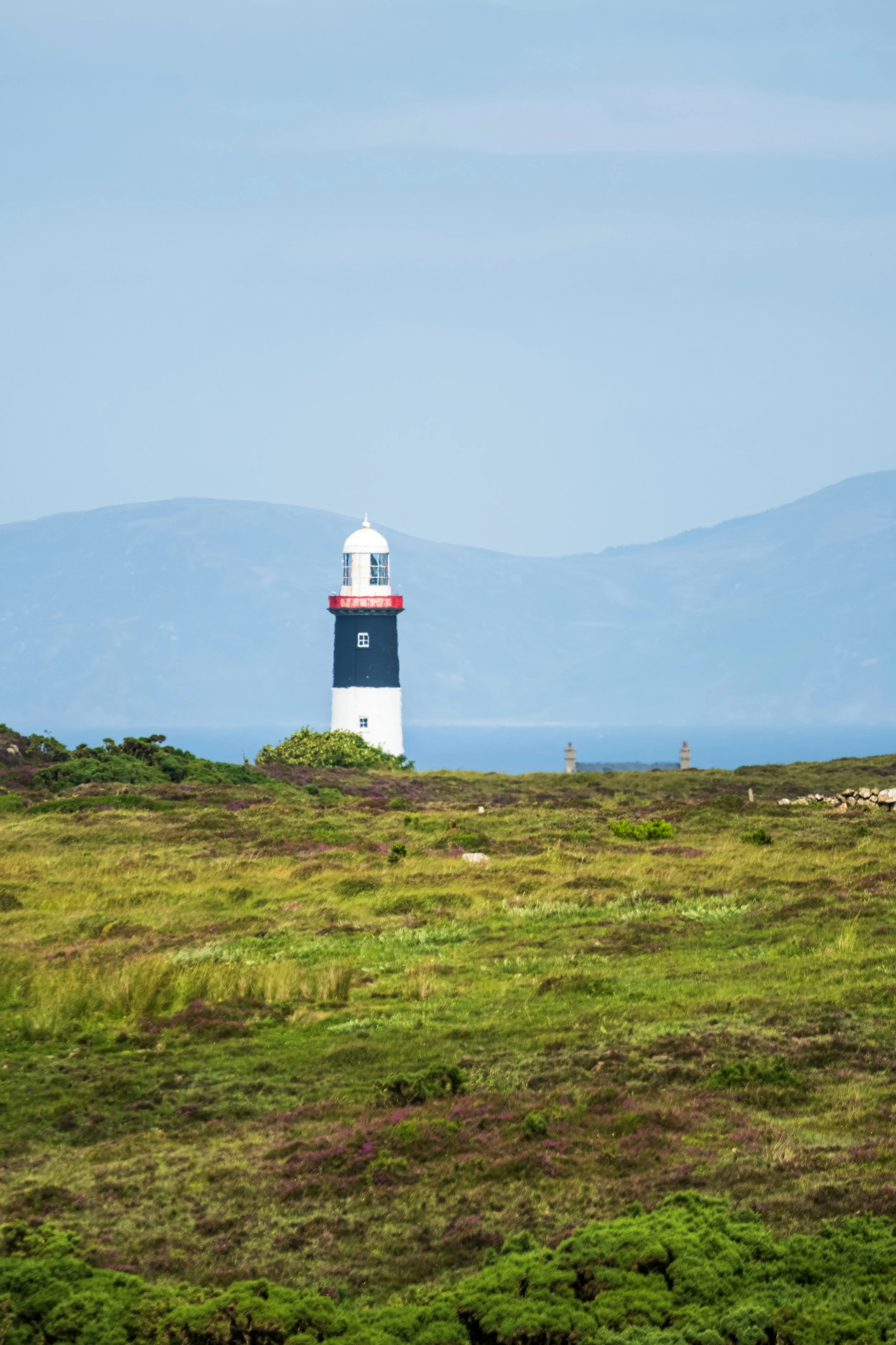 DSCF3934.jpg