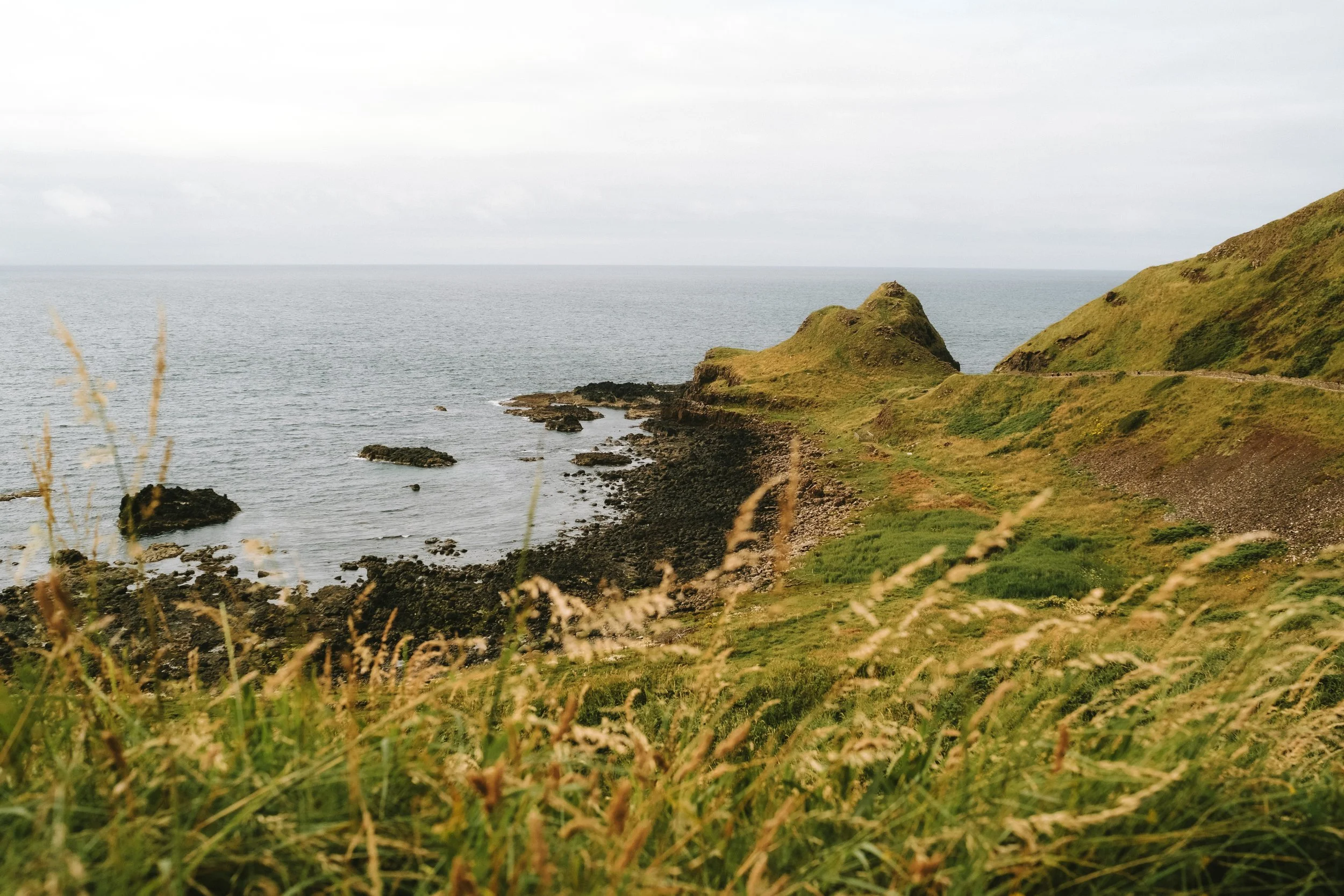 DSCF3231.jpg