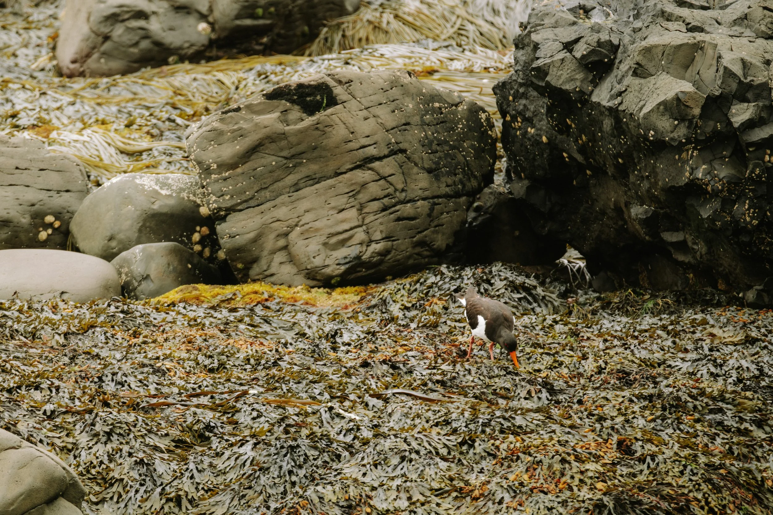 DSCF3363.jpg