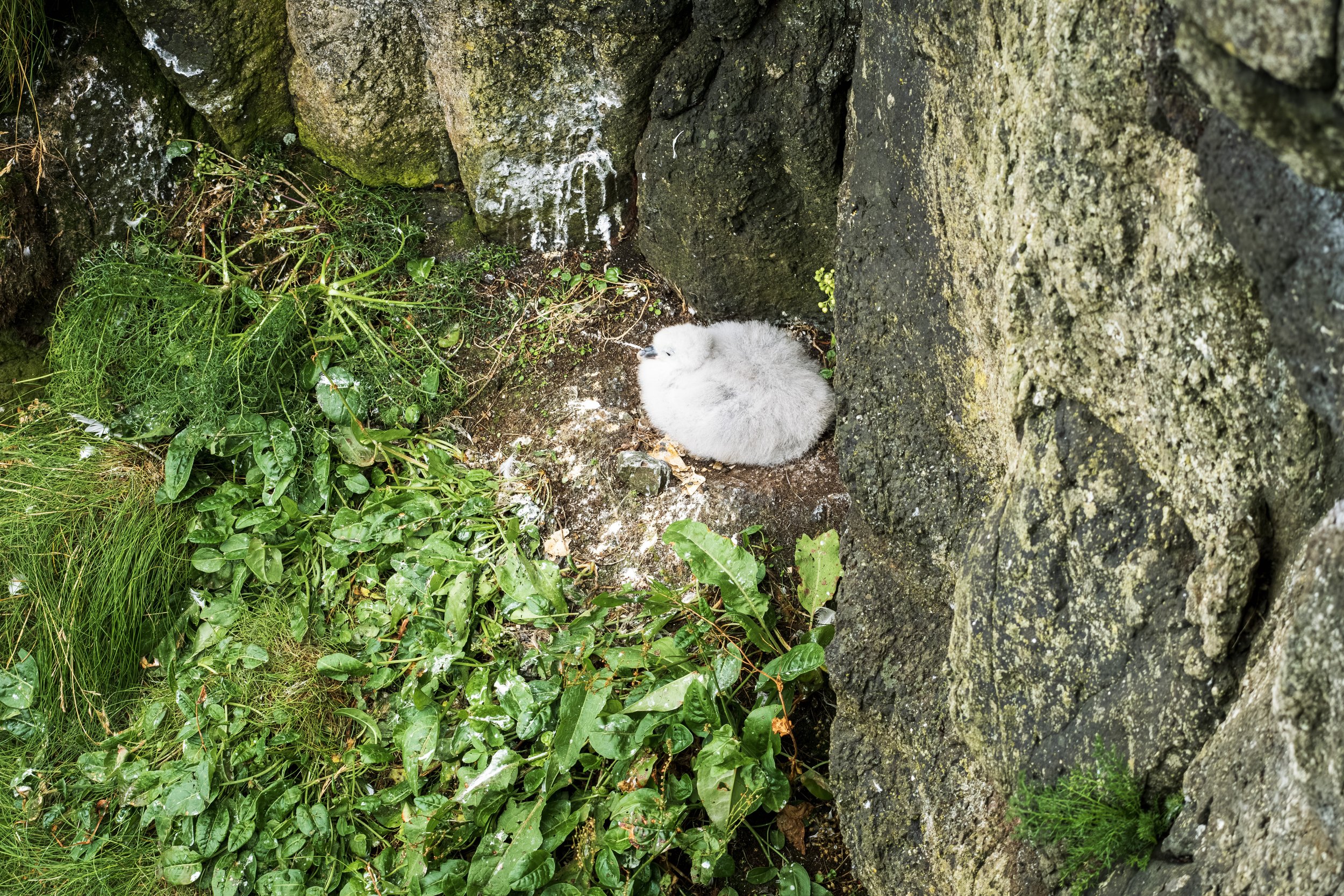 DSCF3455.jpg