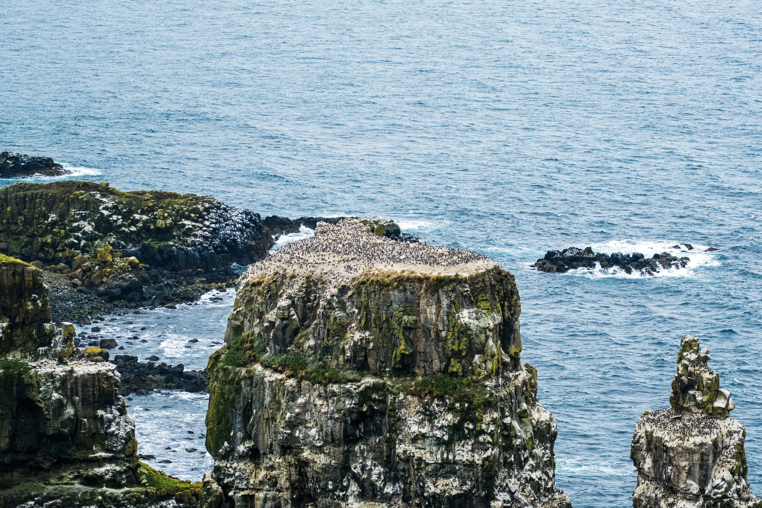 DSCF3826.jpg