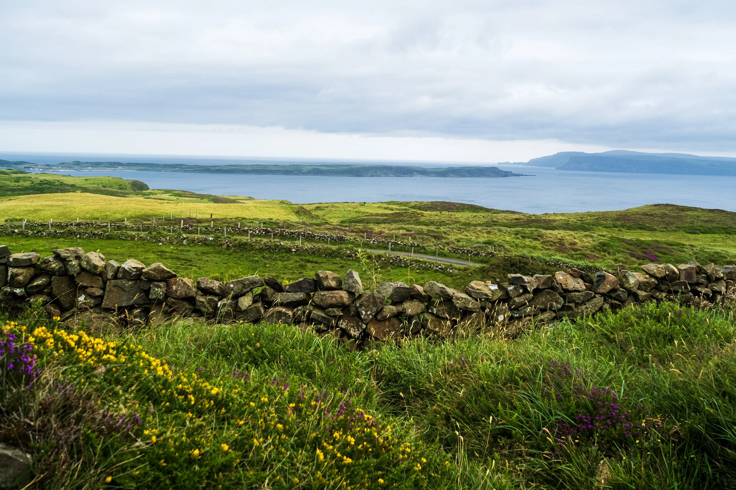 DSCF3862.jpg