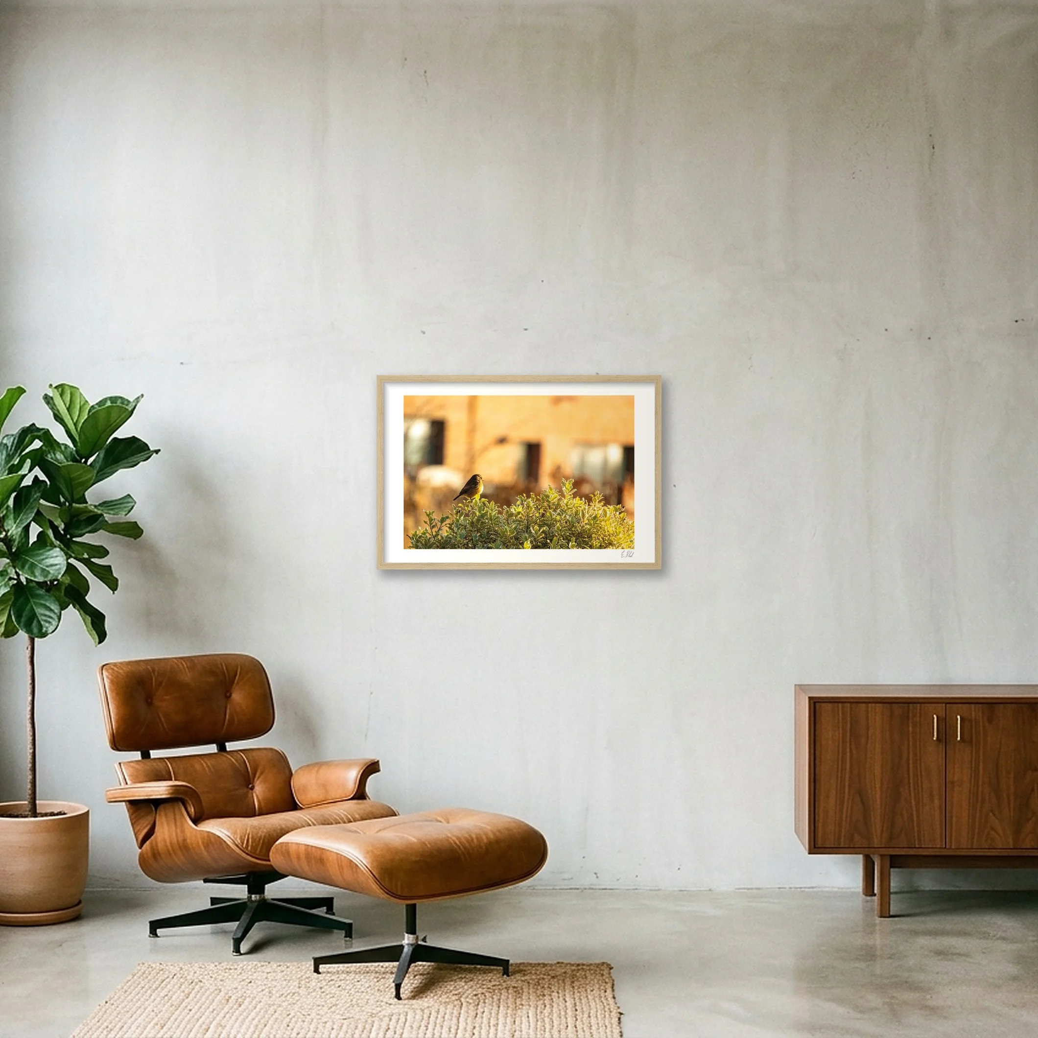 shot_wall_8142df5d_bb3174cb.jpg