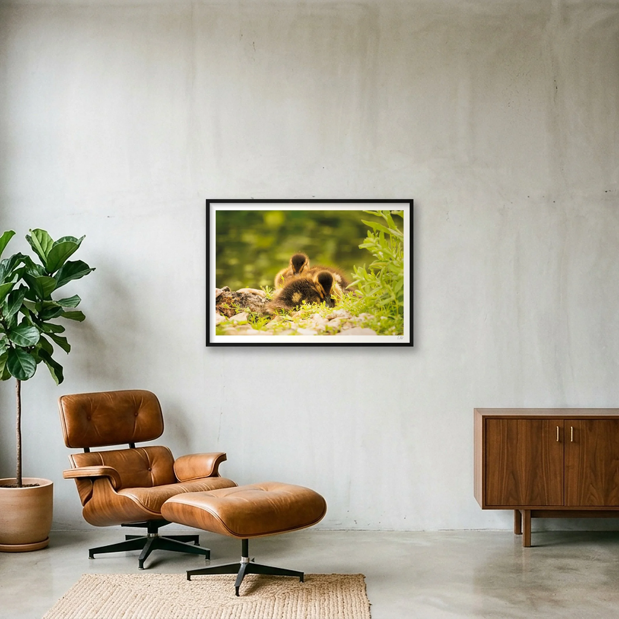 shot_wall_b76c9bfd_01c83b03.jpg