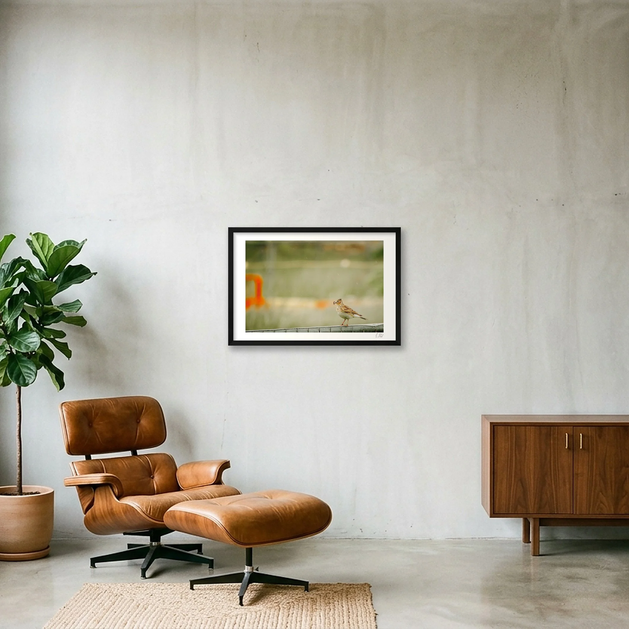 shot_wall_b90c15ac_a817ec59.jpg