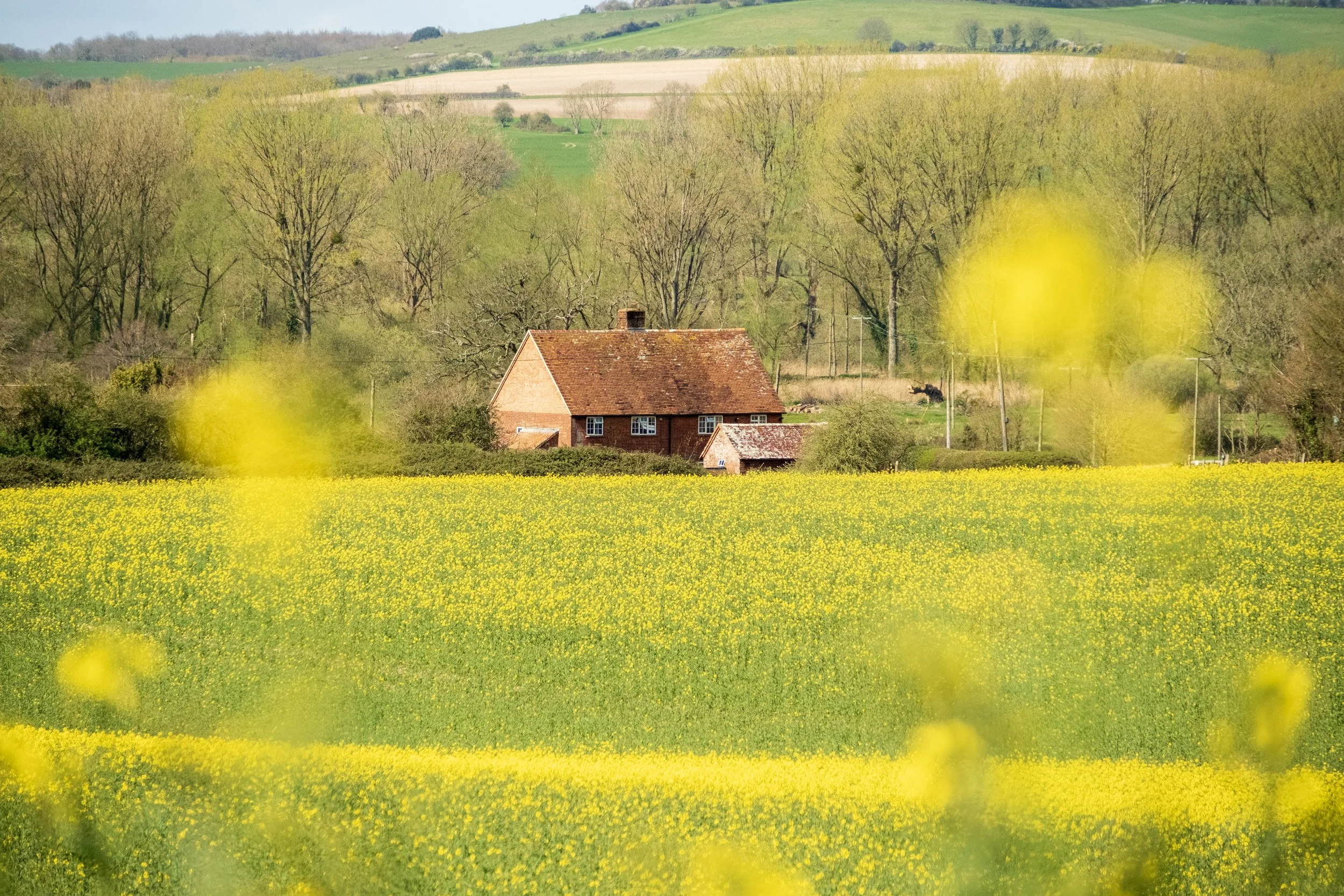 DSCF9871.jpg