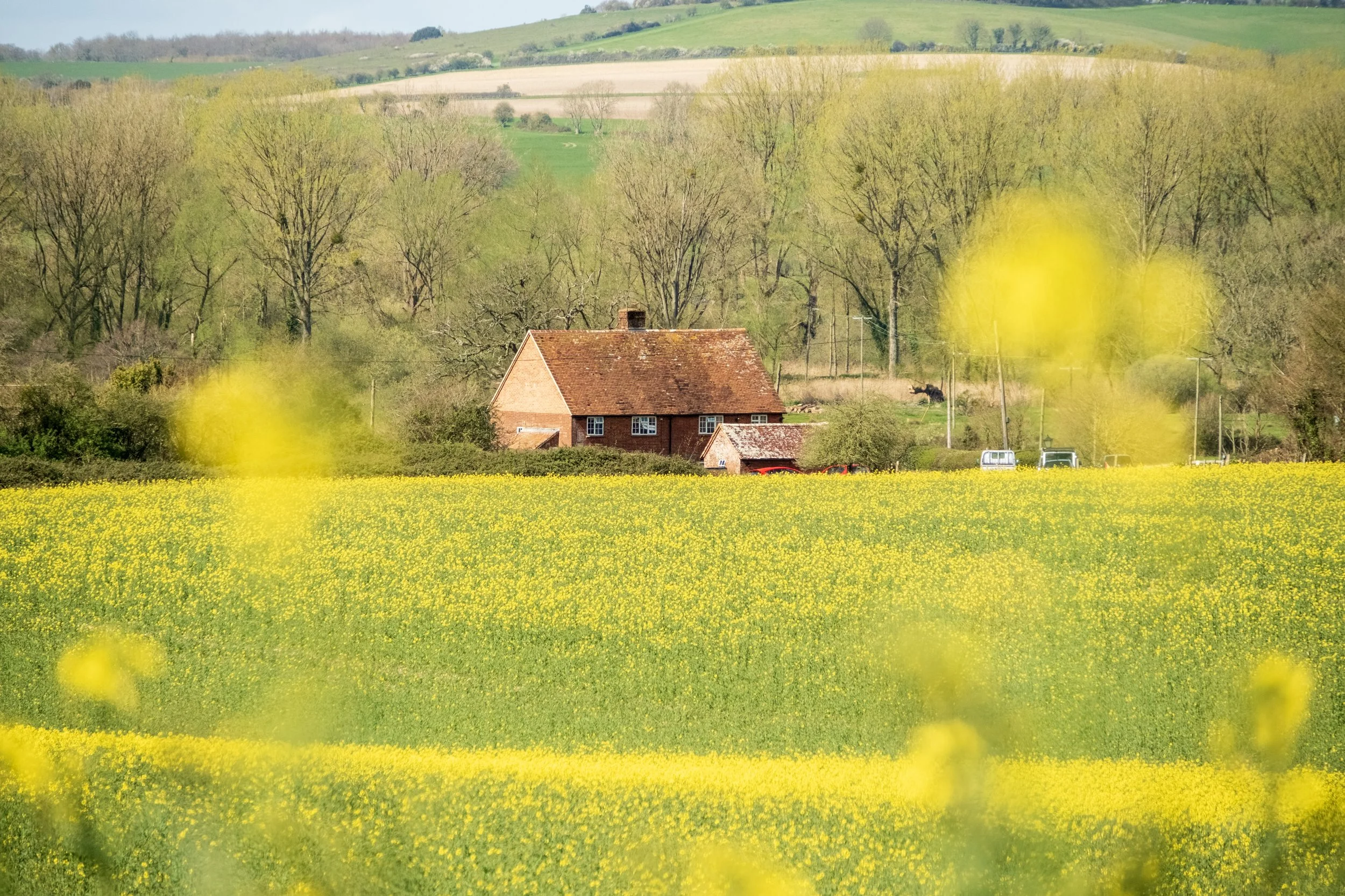 DSCF9871.jpg