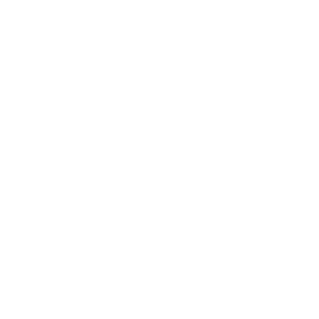 Speed limit sign indicating a maximum of 20 miles per hour.