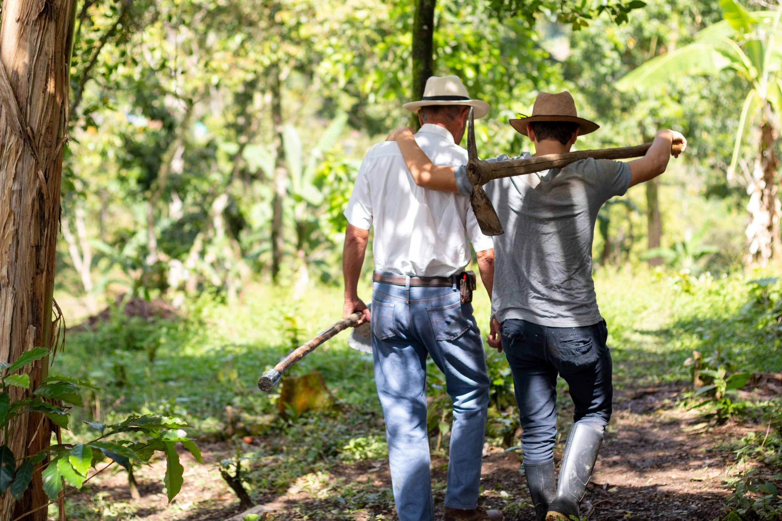 An elderly man and a young boy walking through a forest with trees and greenery, wearing hats, carrying a stick, and helping each other.