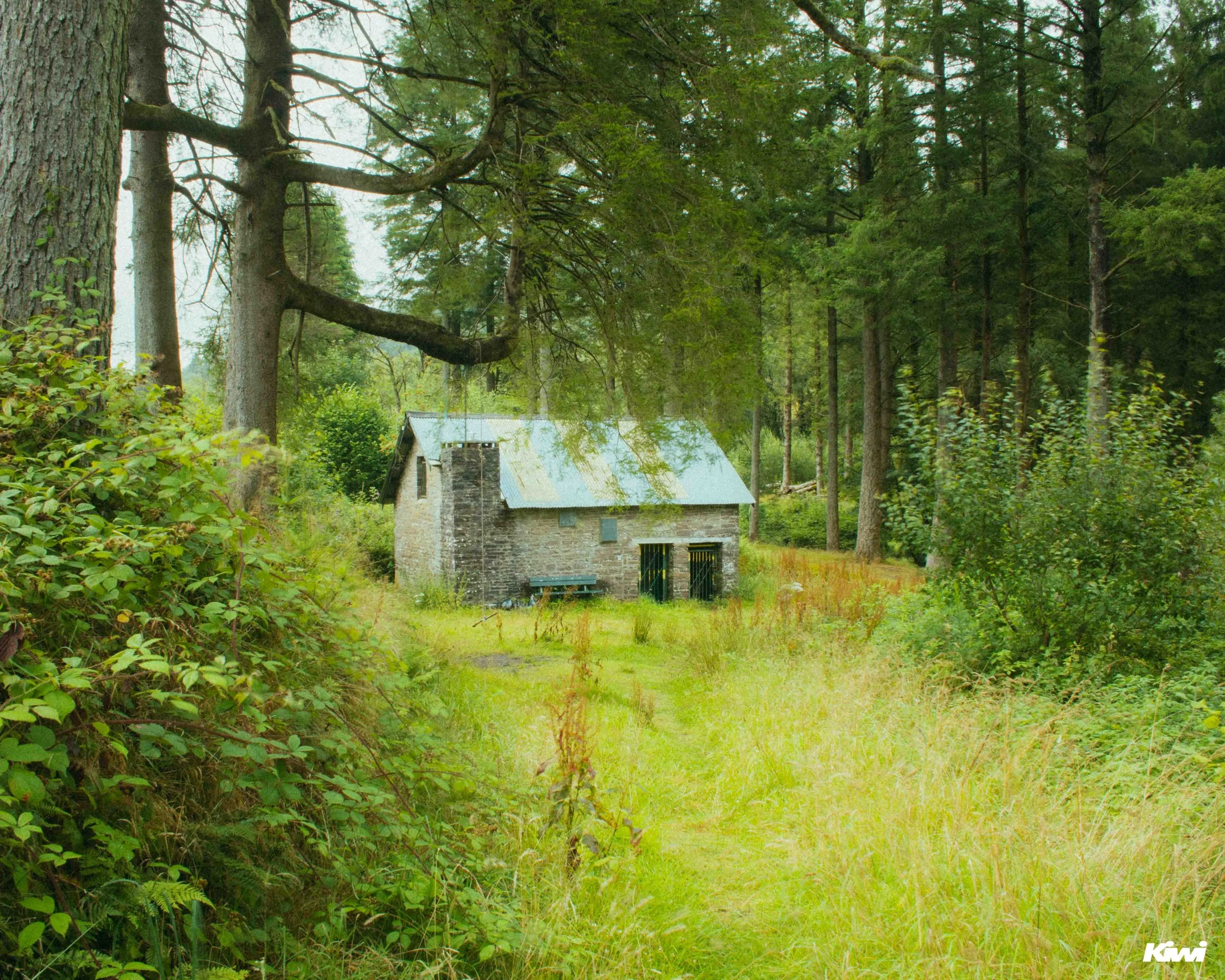 August 07, 2025 - 0243 - 7.jpg