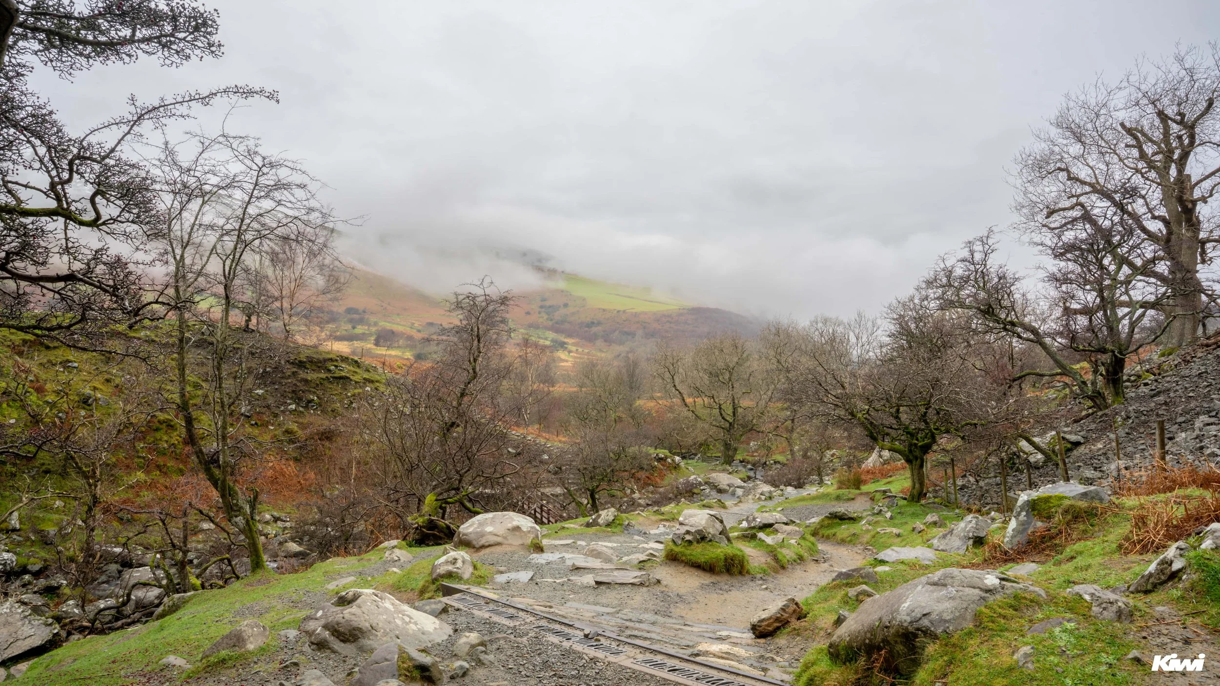 January 08, 2026 -  - 18.jpg