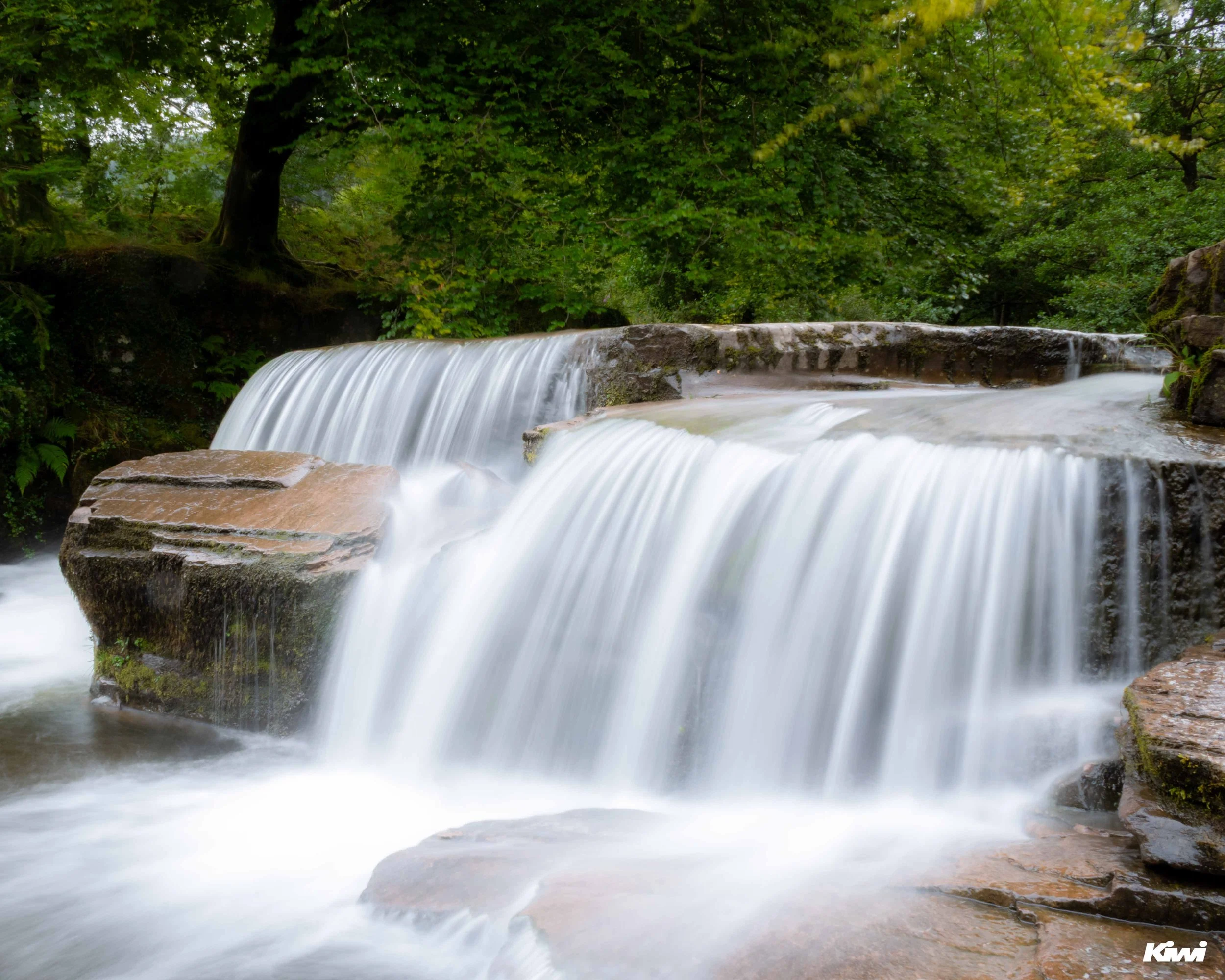 August 07, 2025 - 0205 - 6.jpg