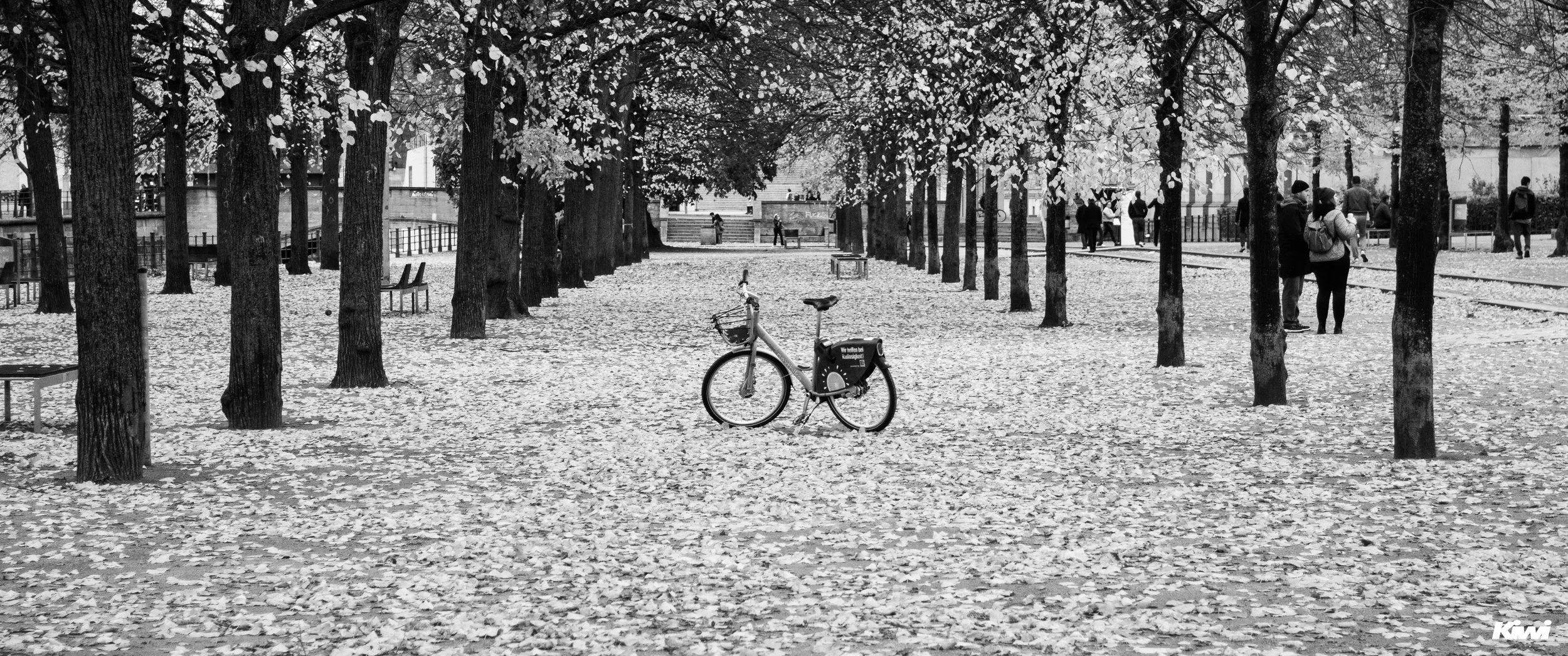 November 02, 2023-2.jpg