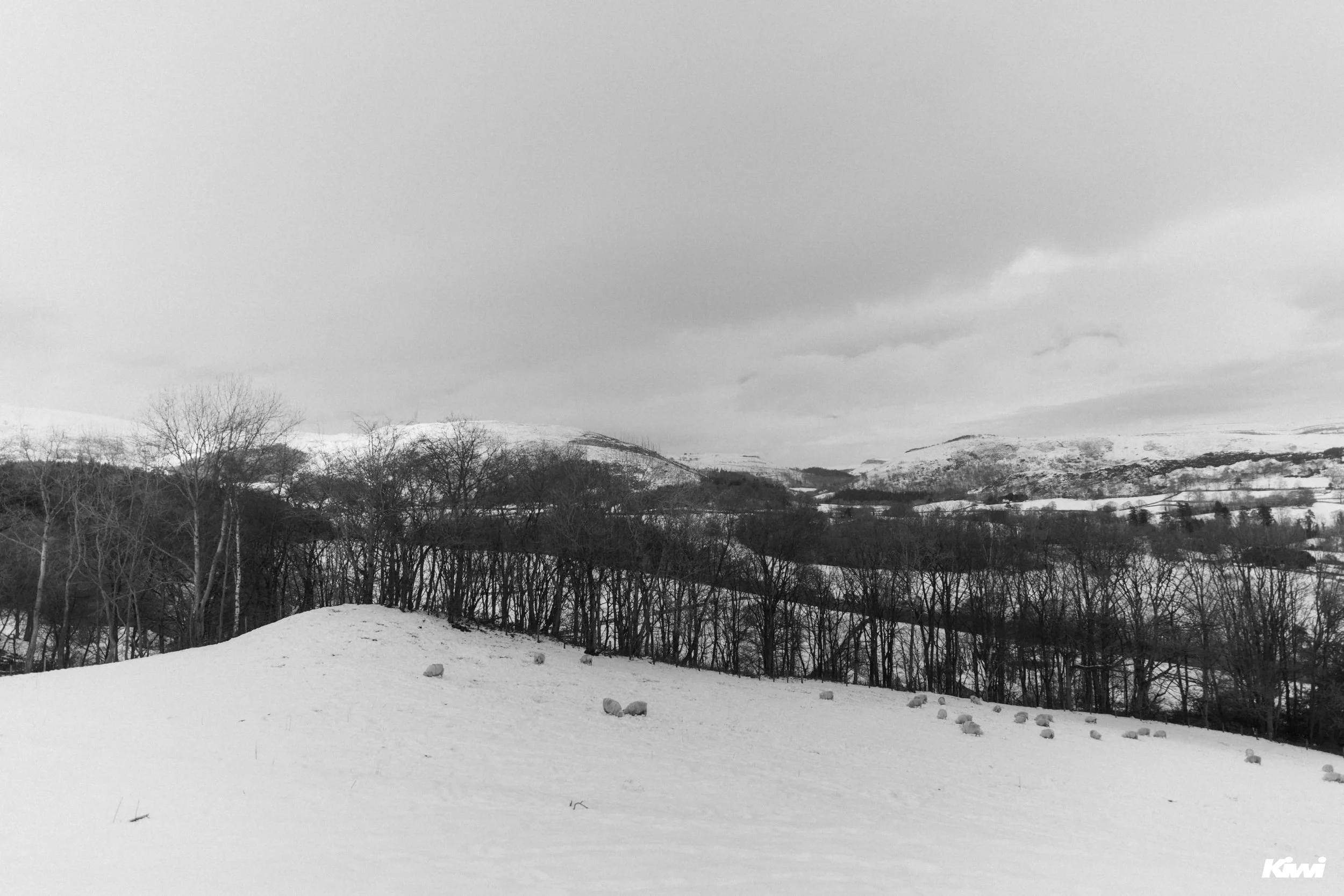 January 06, 2026 -  - 2.jpg