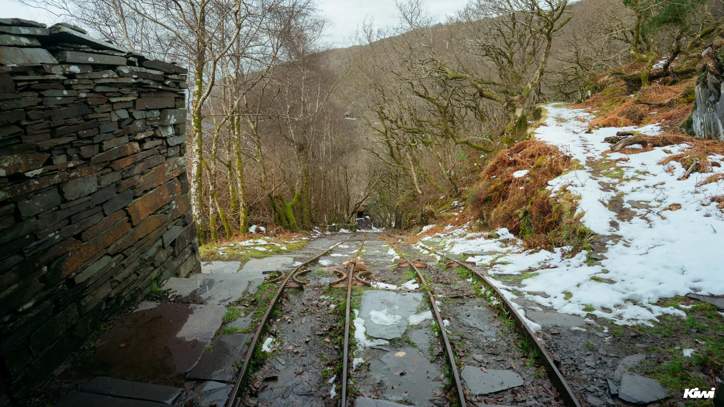 January 07, 2026 - 2341 - 7.jpg