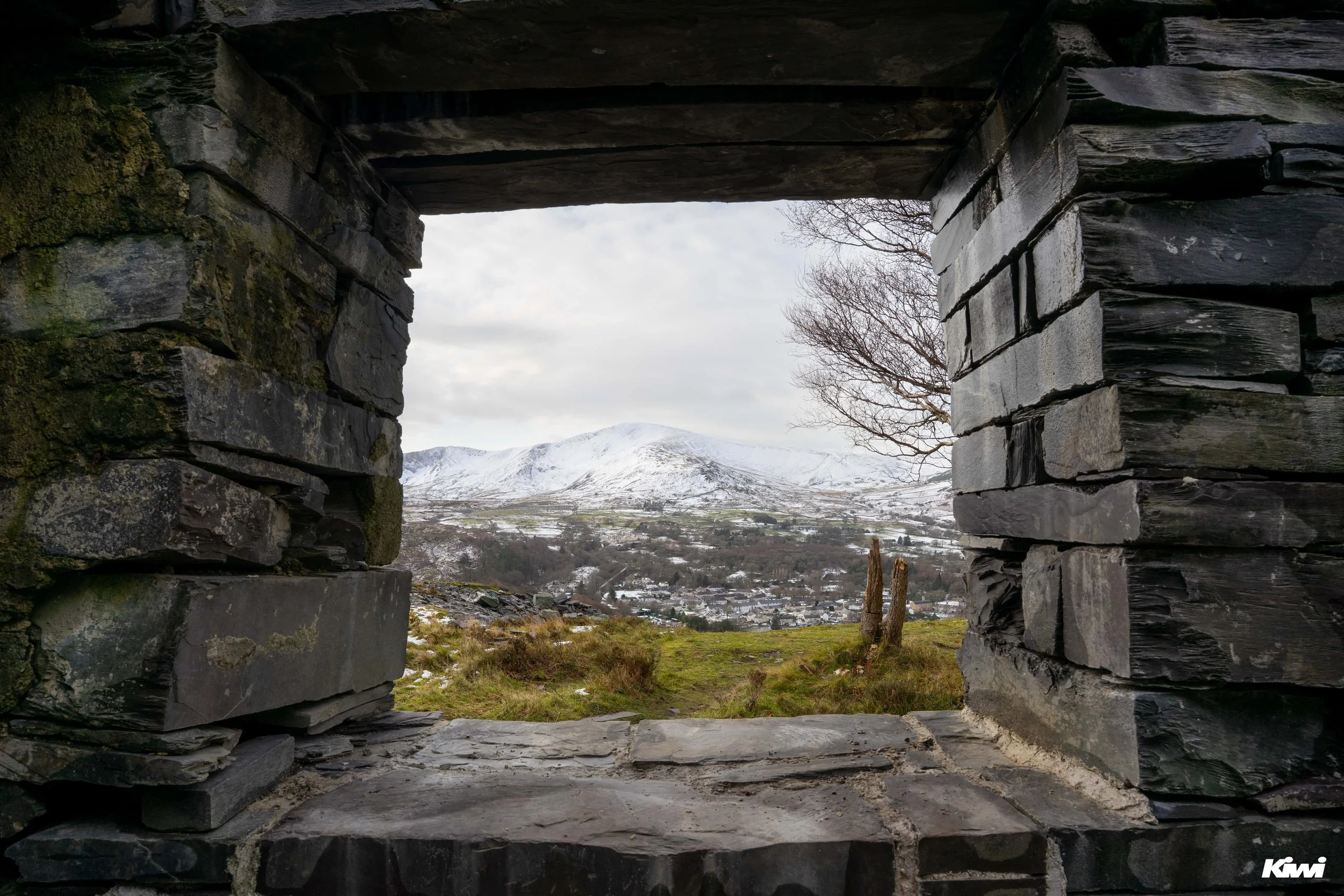 January 07, 2026 - 2407 - 9.jpg