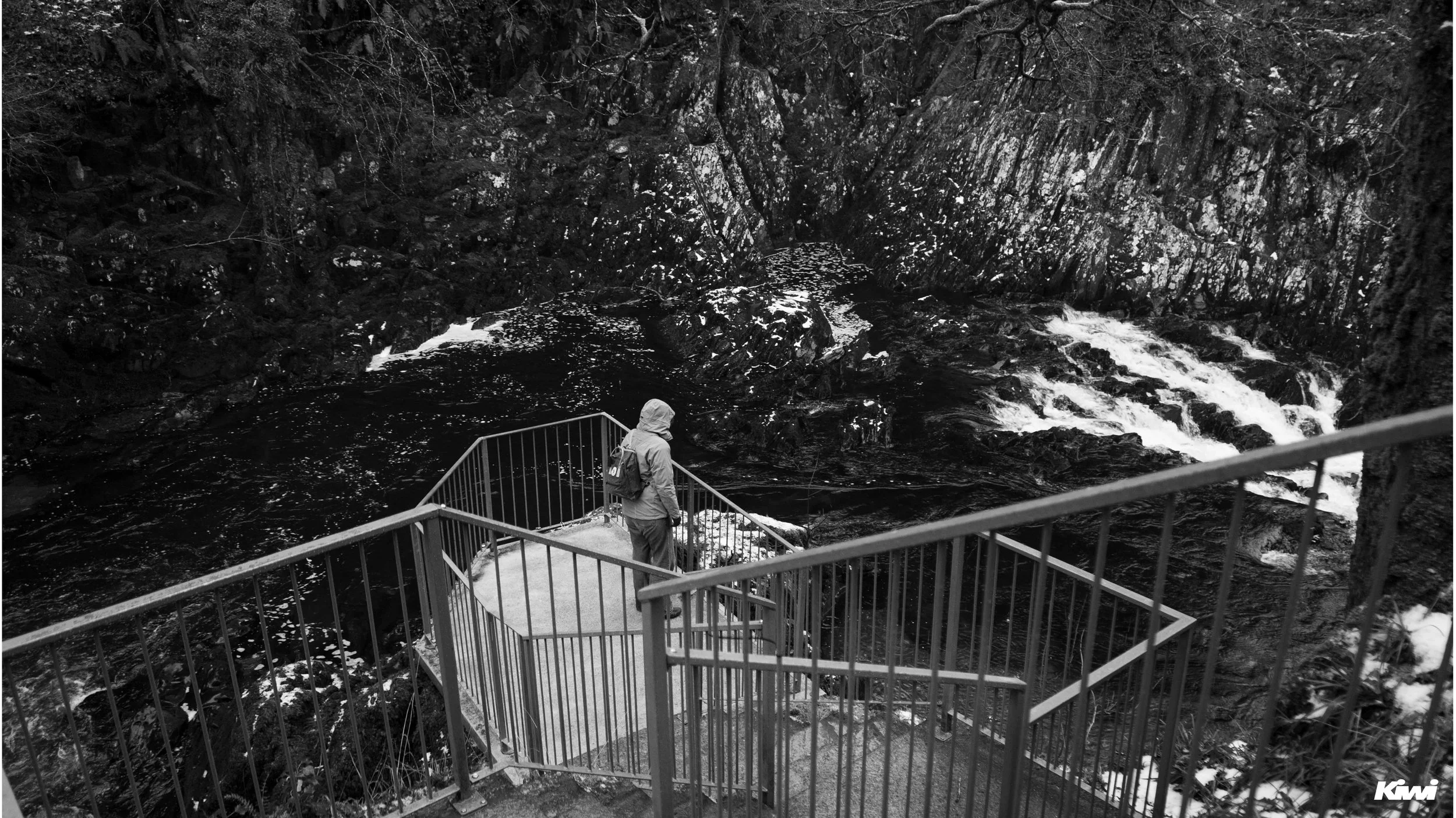 January 06, 2026 - 3 - 3.jpg