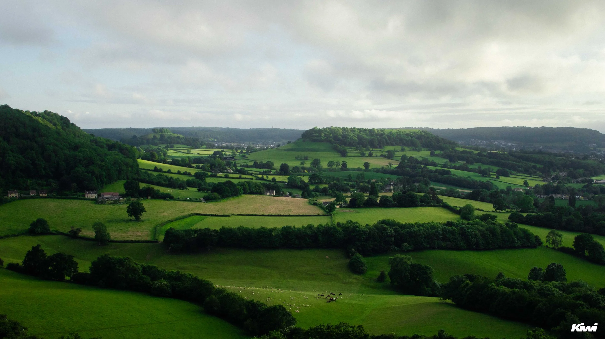 May 29, 2025 - 0012 - 1.jpg