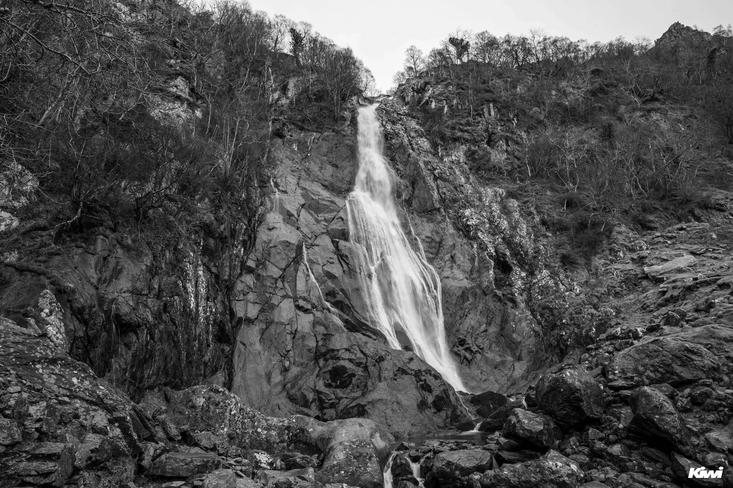 January 08, 2026 -  - 17.jpg